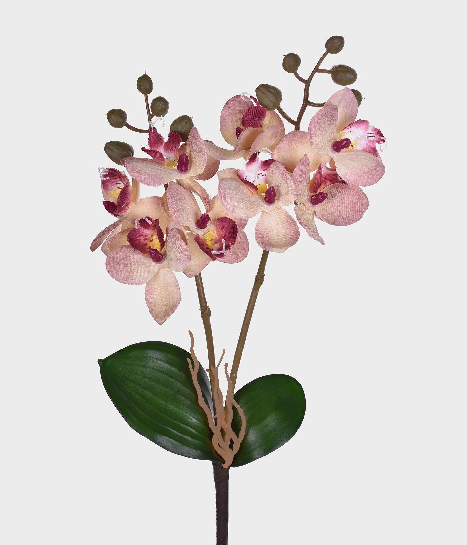 Ht Orquidea X2 Cetim Rosa Ref 50273 018