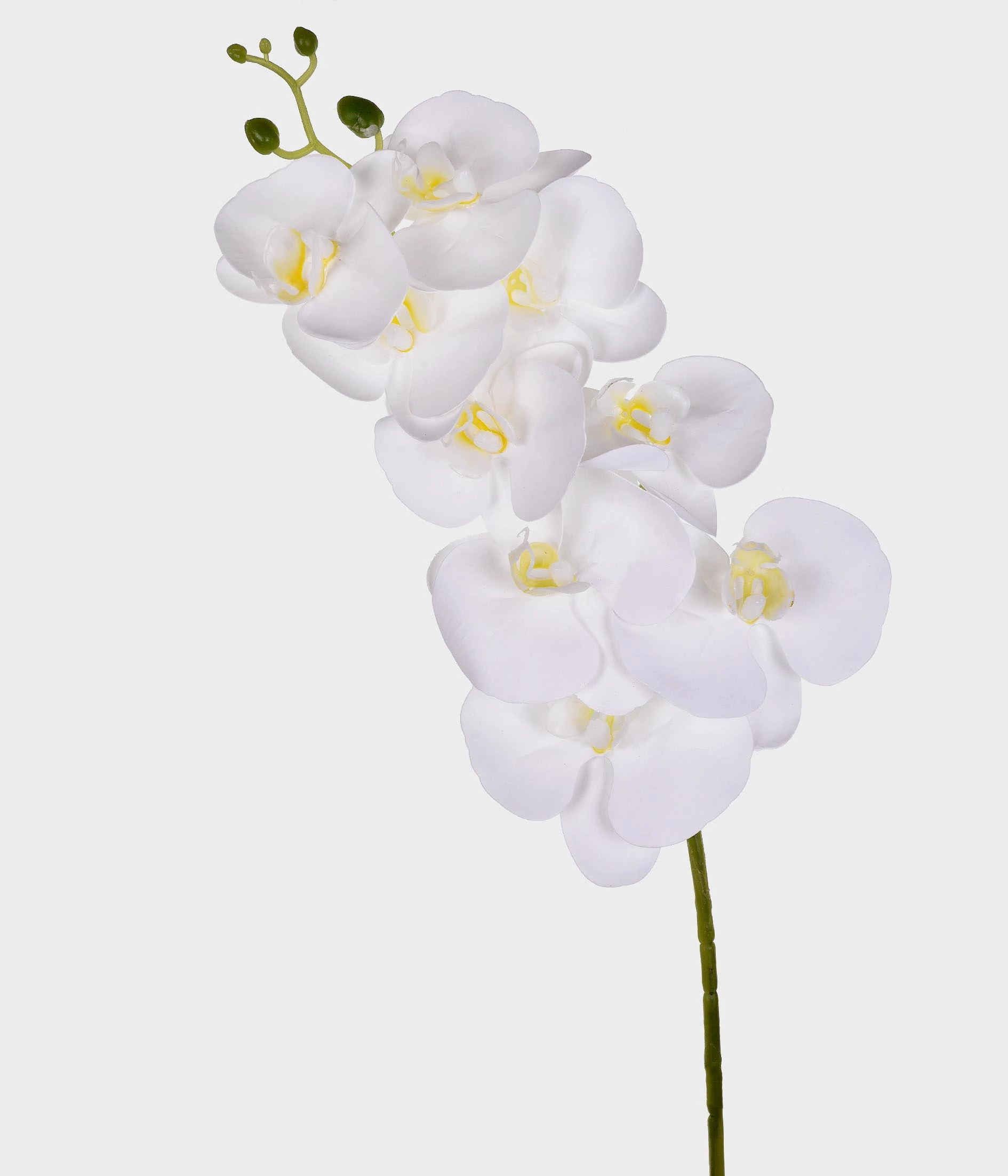 Ht Orquidea X9 Pvc Branco