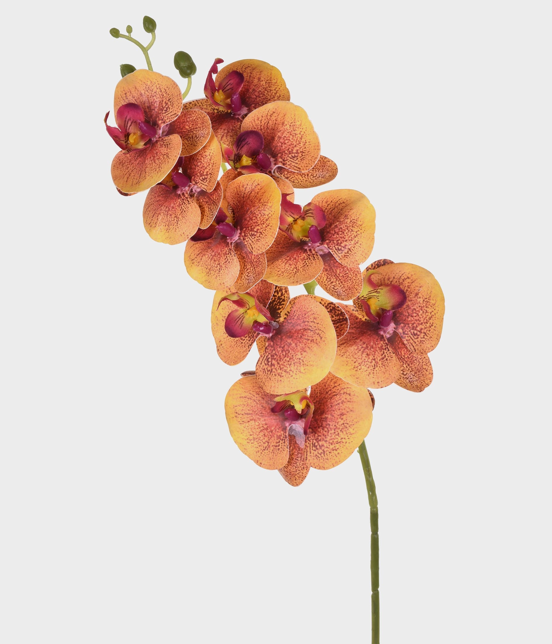 Haste Orquidea Pvc X9 50.278 005 Grillo