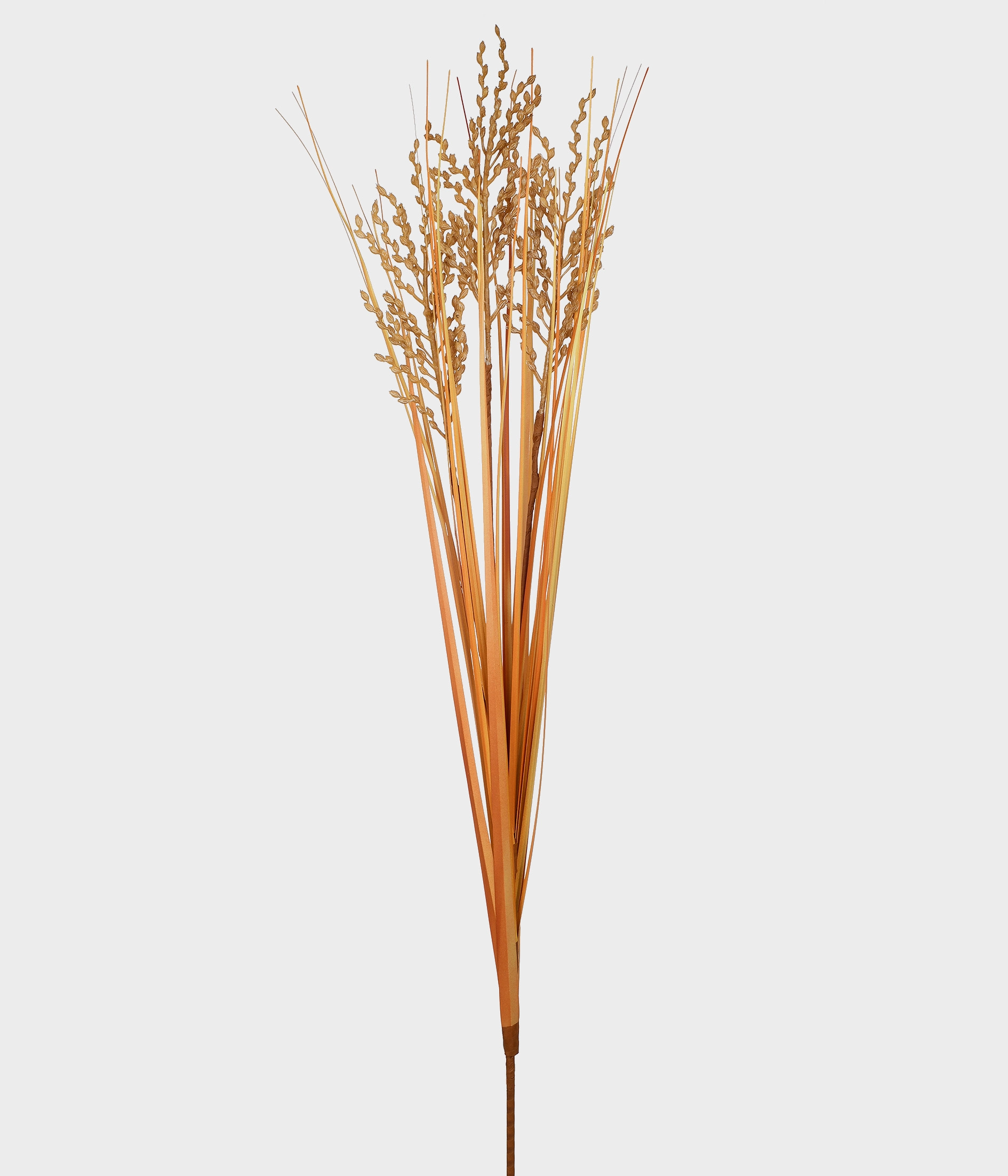 Ht Grao De Arroz Natural Ref.51202 380 Grillo