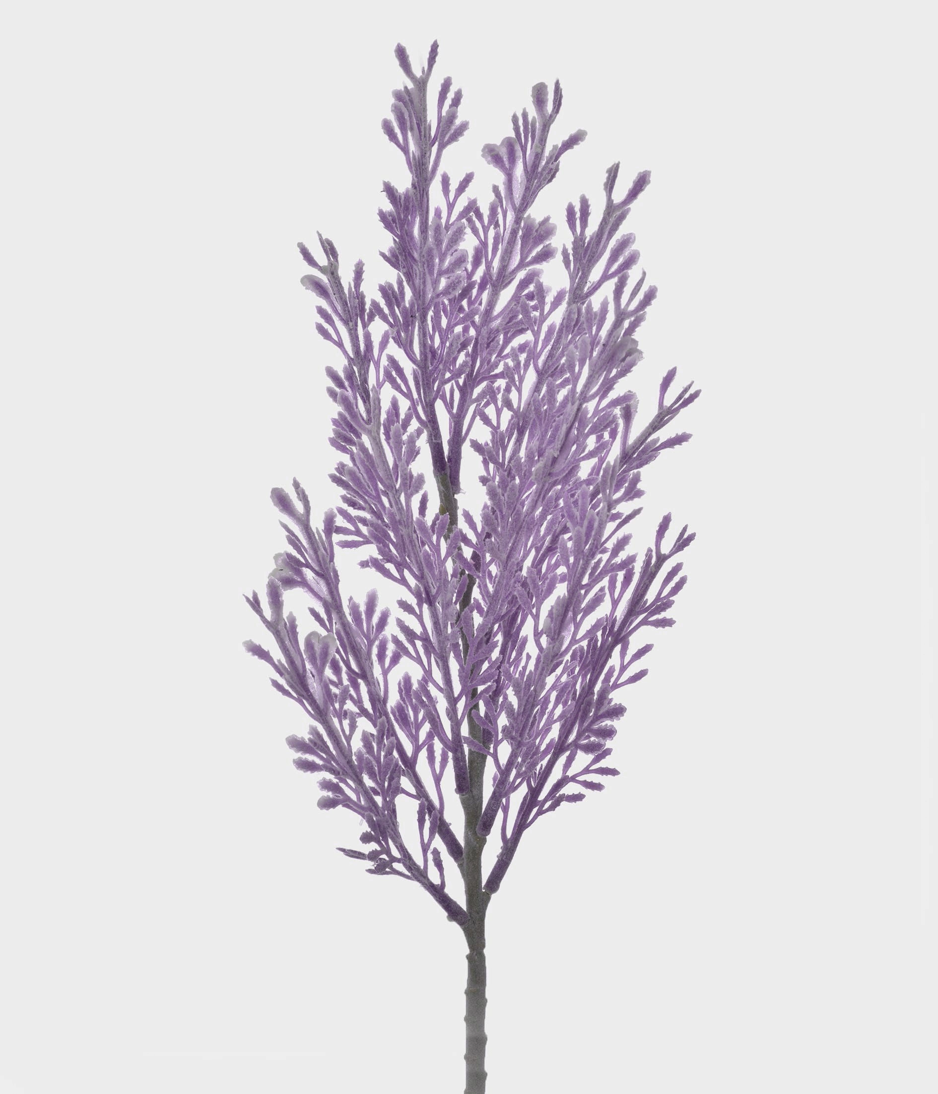 Ht Folhas Cipreste X13 Lavanda 51217 031 Grillo
