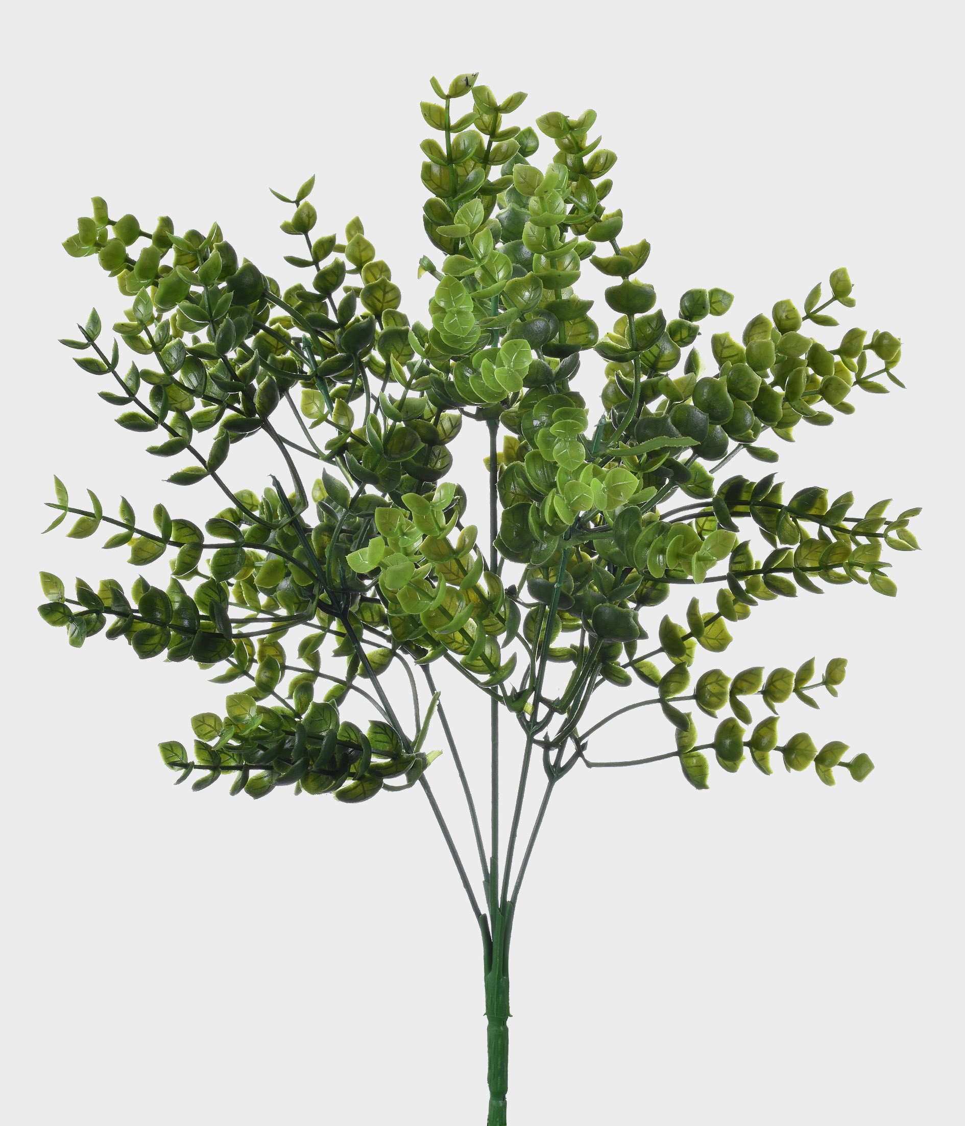 Buque Fohas Eucalipto Verde X5 51243 004 Grillo