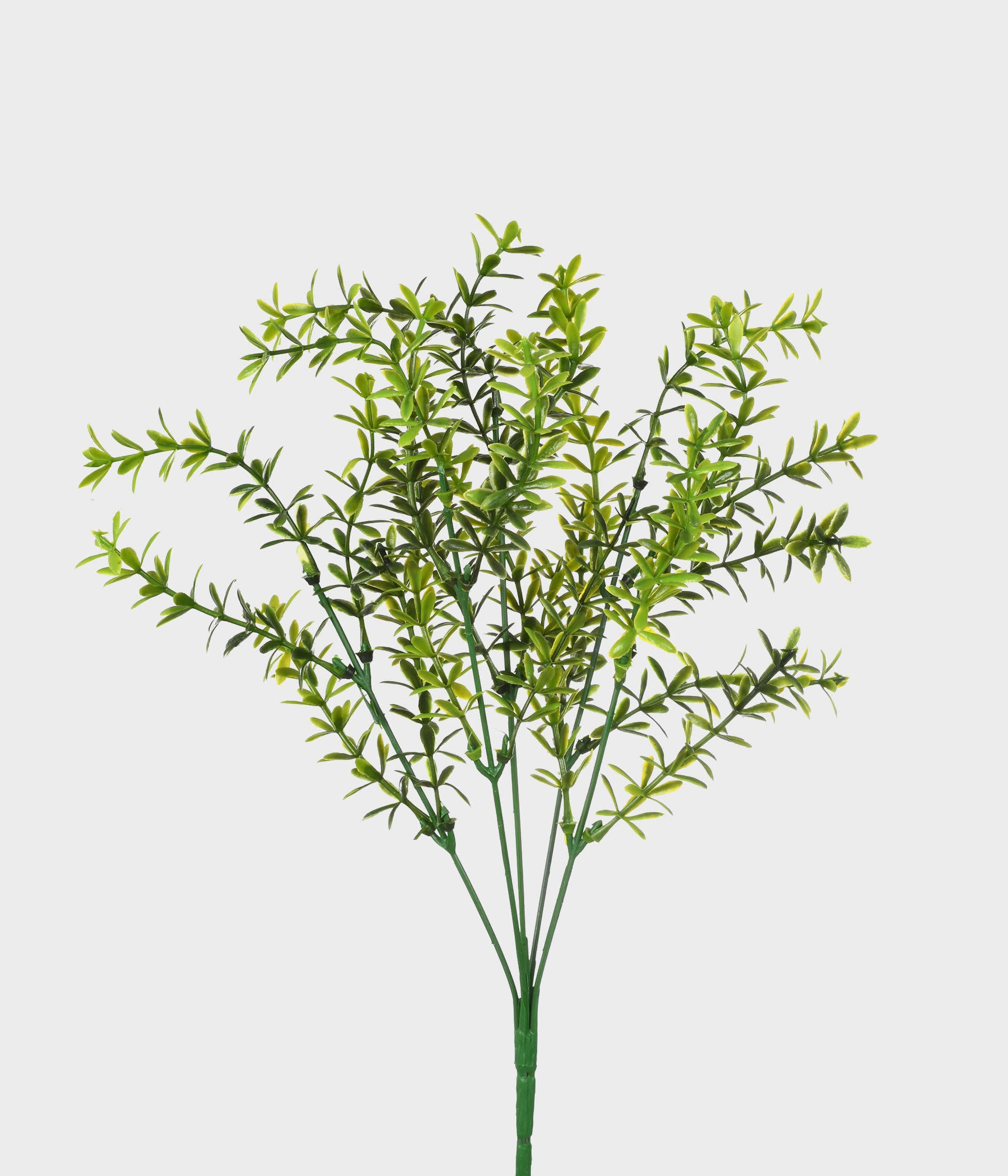 Buque Folhas Silvestres X5 51245 004 Grillo