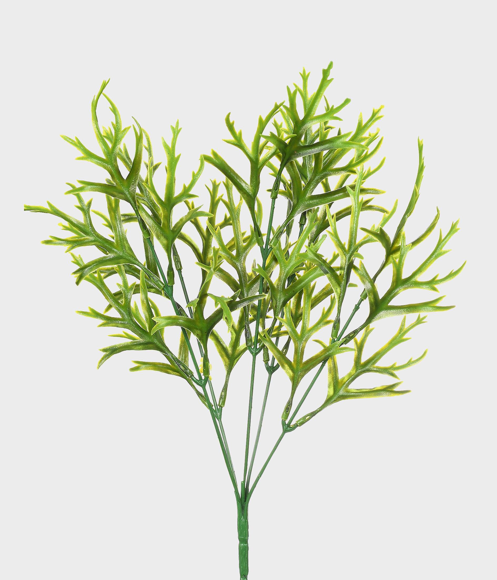 Buque Folhas Coral X5 Verde 5124 004 Grillo