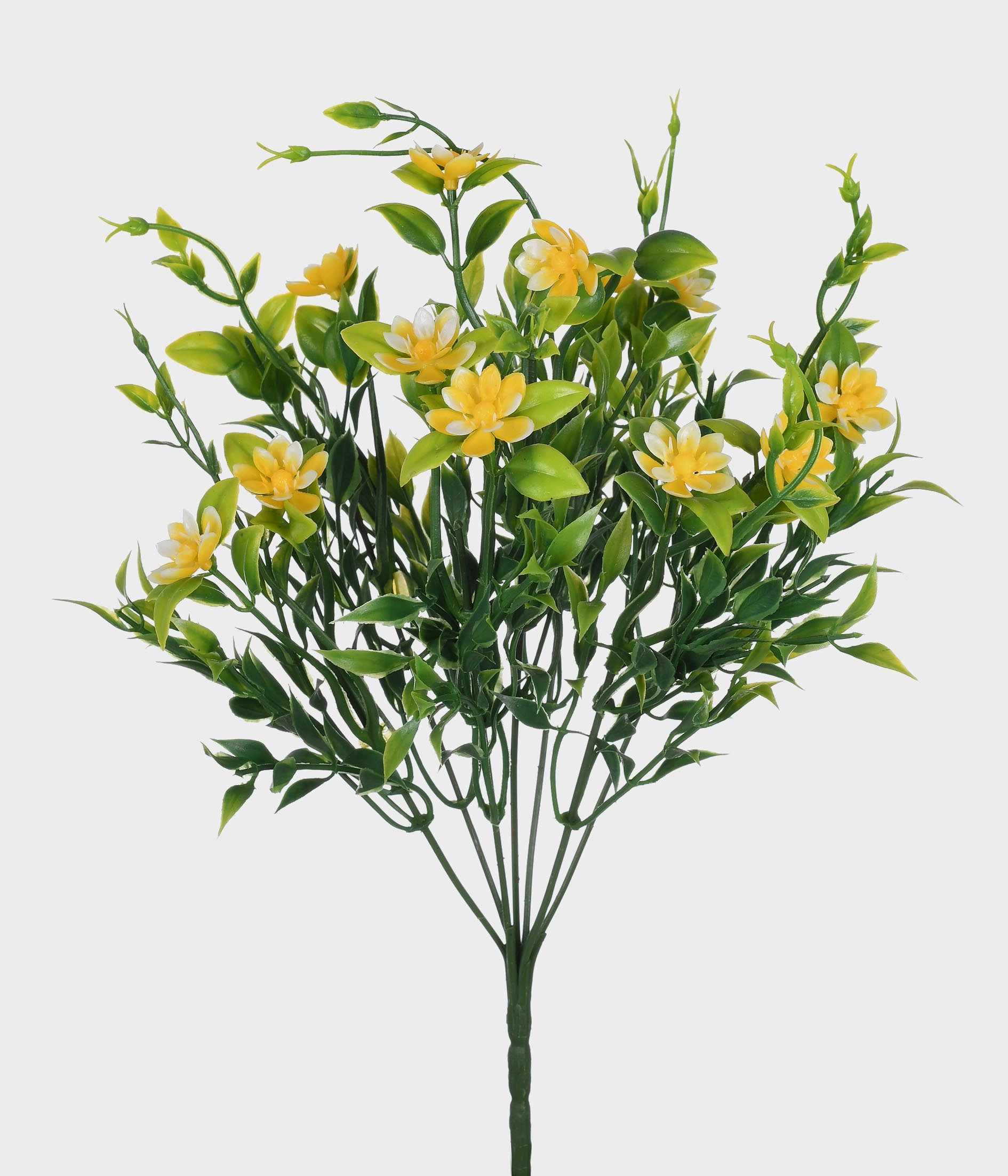 Buque Poppy Amarelo X7 51265 005 Grillo