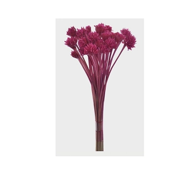 Espeta Nariz 20g Fucsia Ref.51032 787