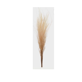 Capim Barba De Bode Creme Ref.51329 010