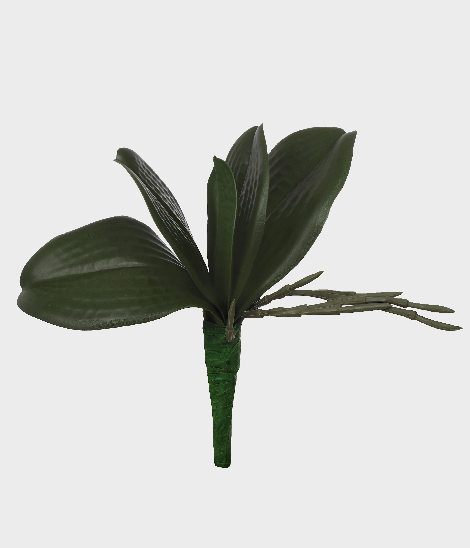 Folha De Orquidea X5 Em Pvc 51395 004 Grillo