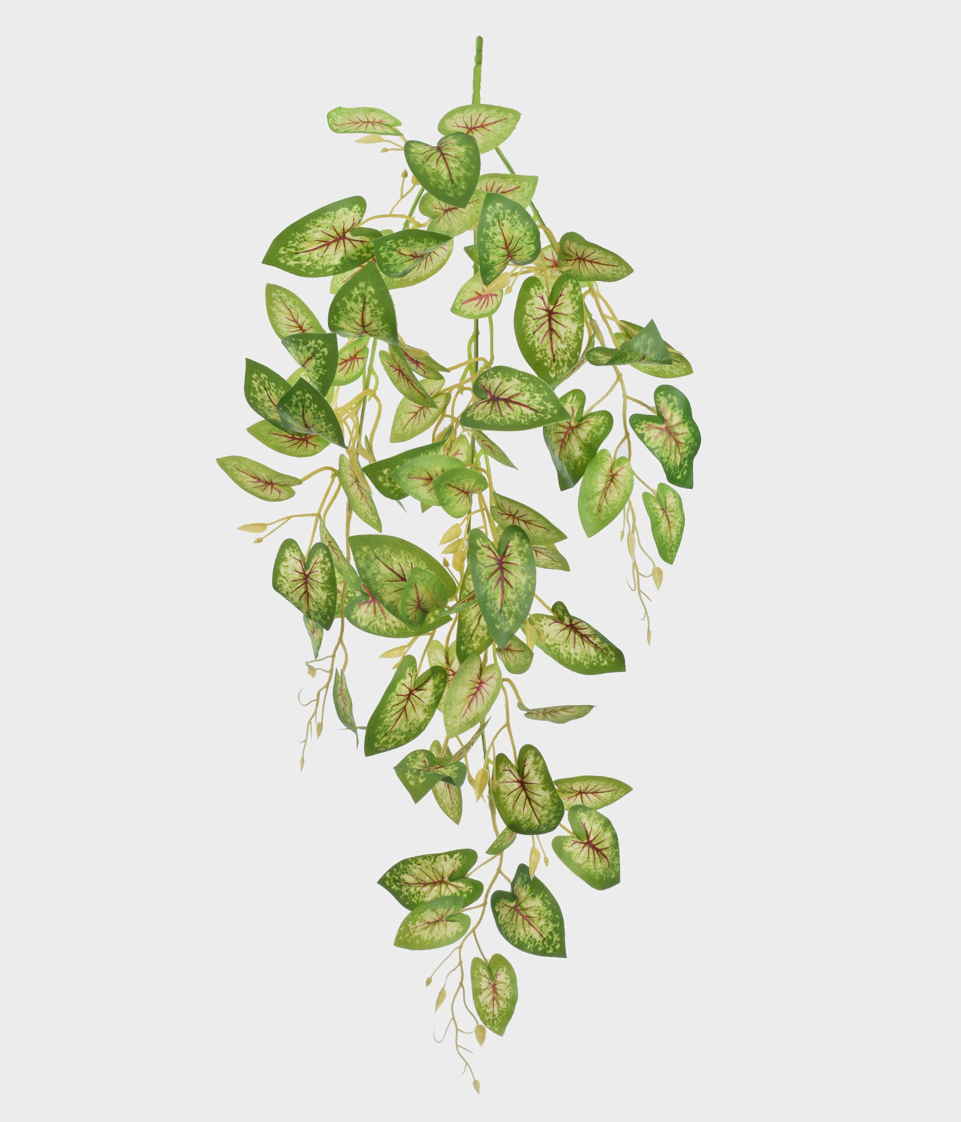 Folhagem Pendente Pvc Caladium 51412 076 Grillo