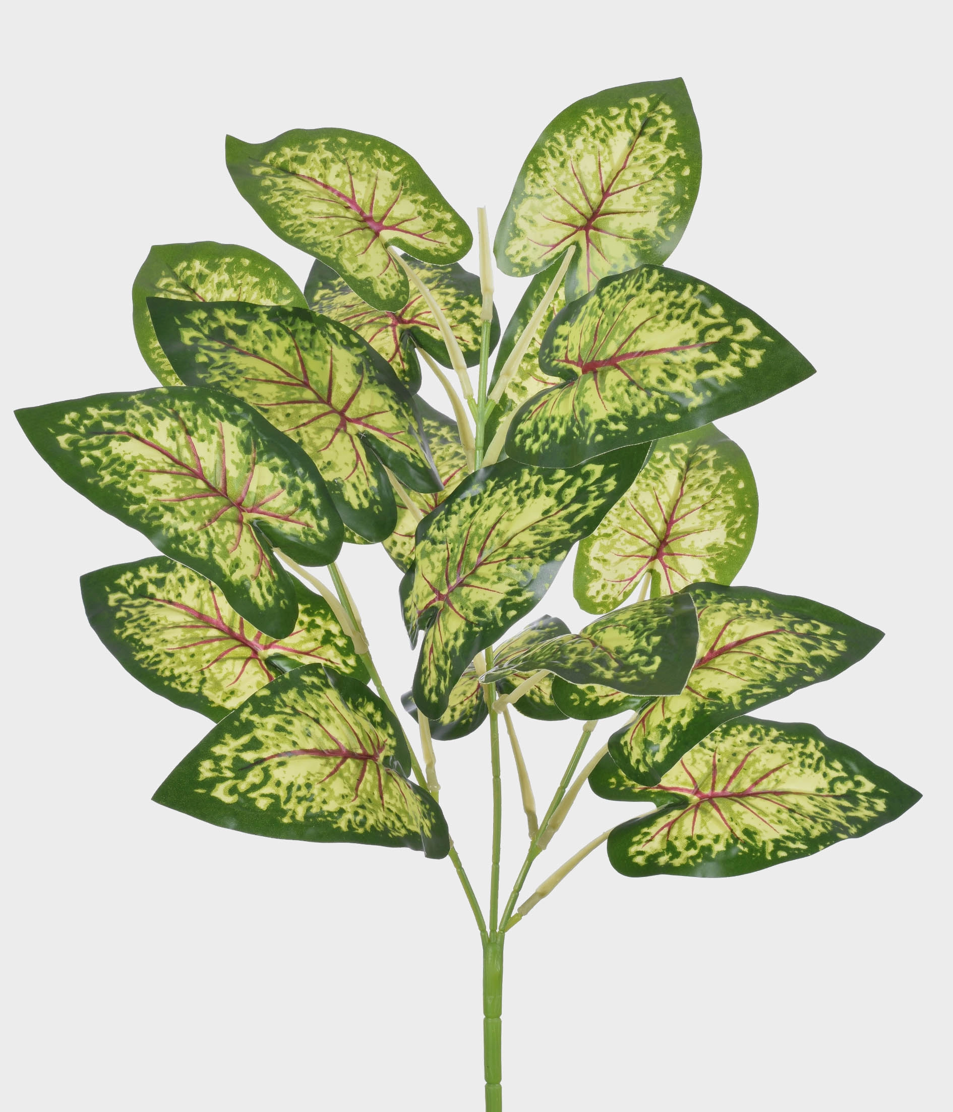 Folhagem Pvc Caladium X3 51413 076 Grillo