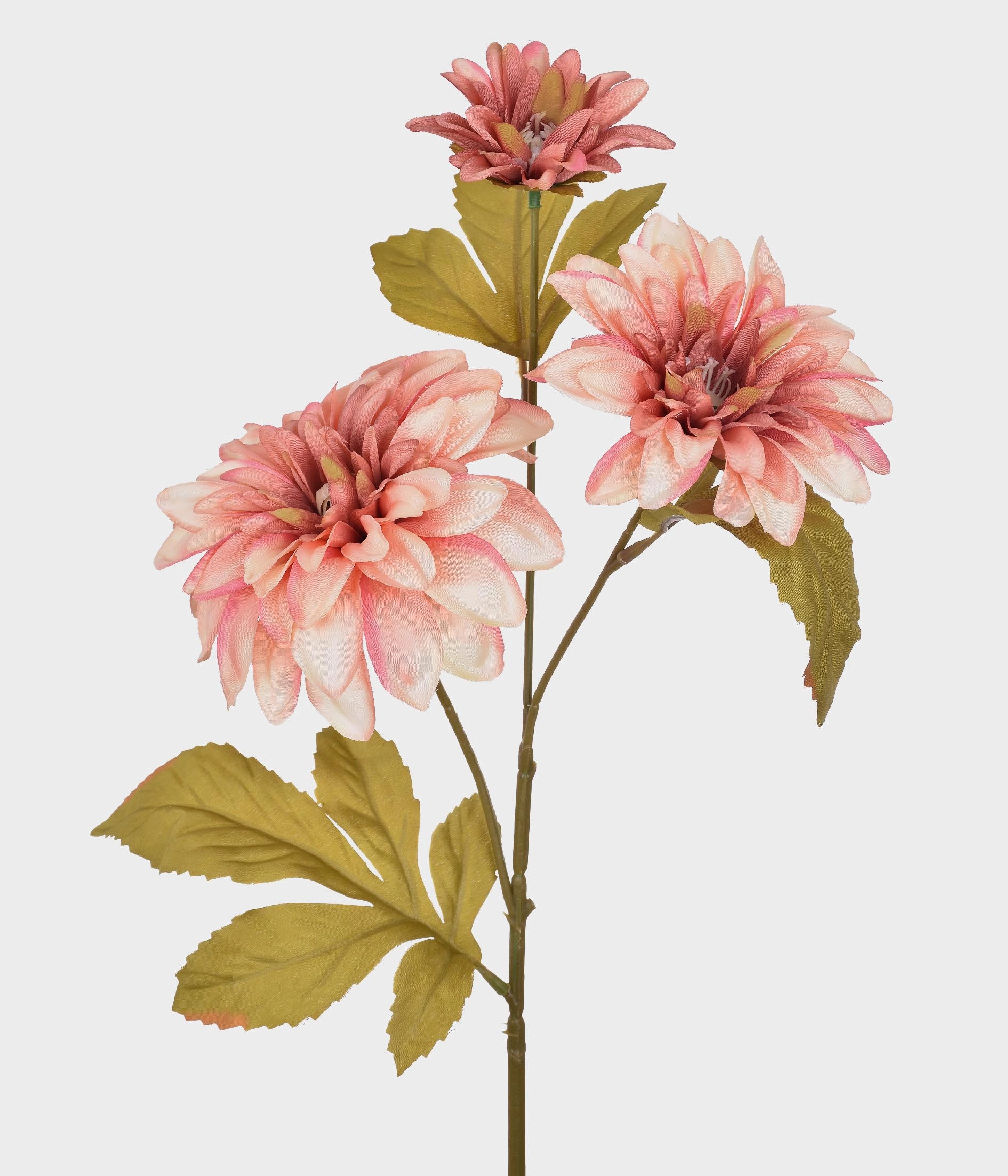 Ht Dalia Outonada X3 51.698 011 Grillo