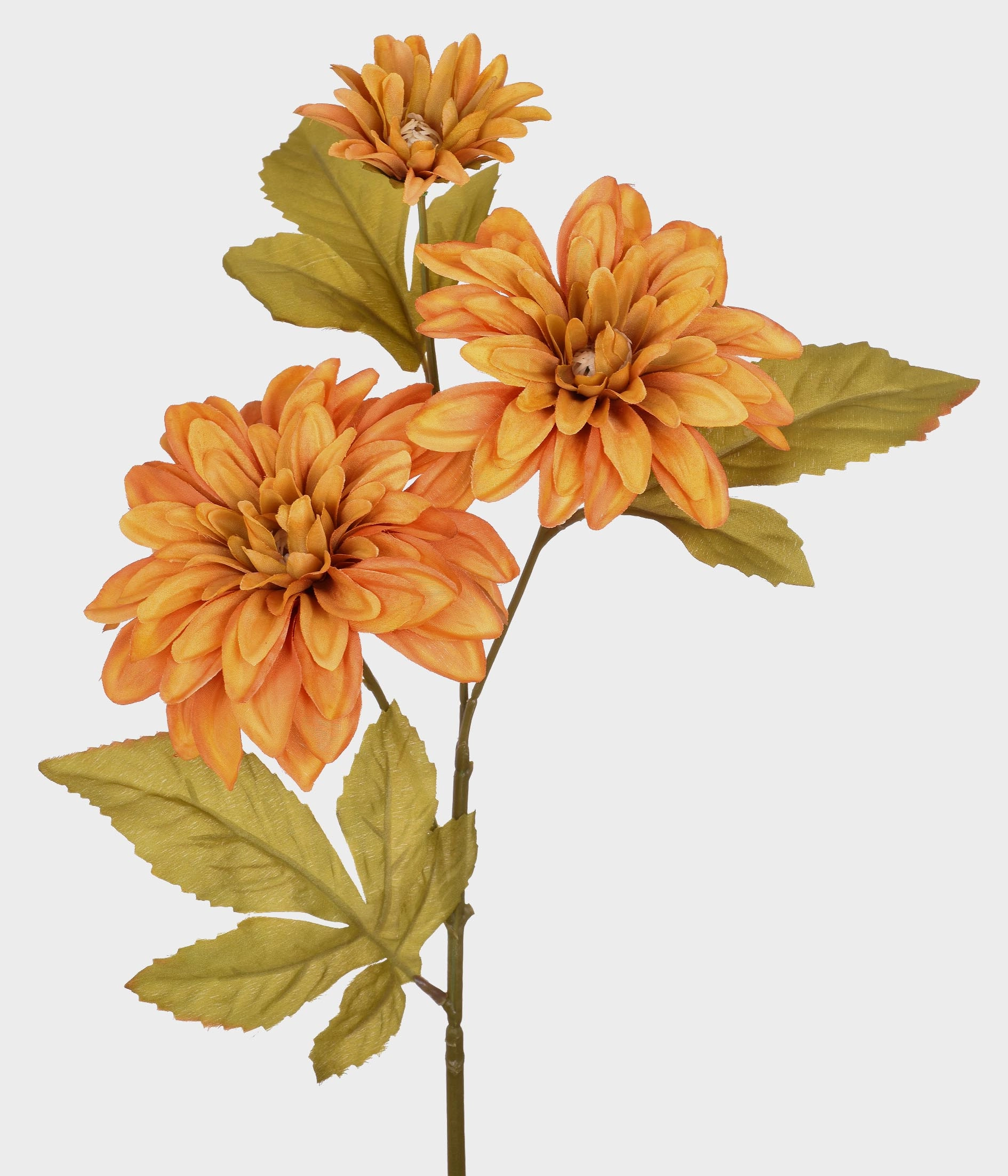 Ht Dalia Outonada X3 51698 190 Grillo