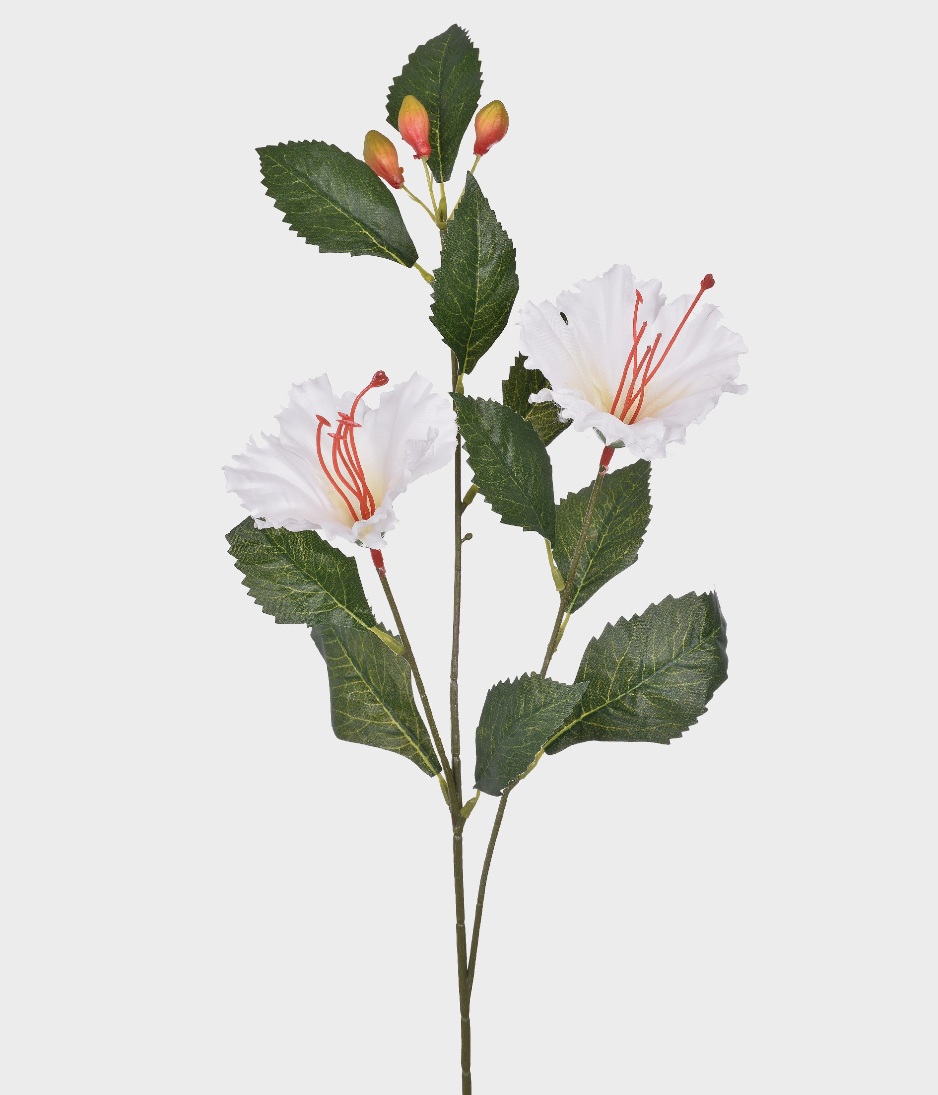 Haste Hibisco X2 Creme 51700 010 Grillo