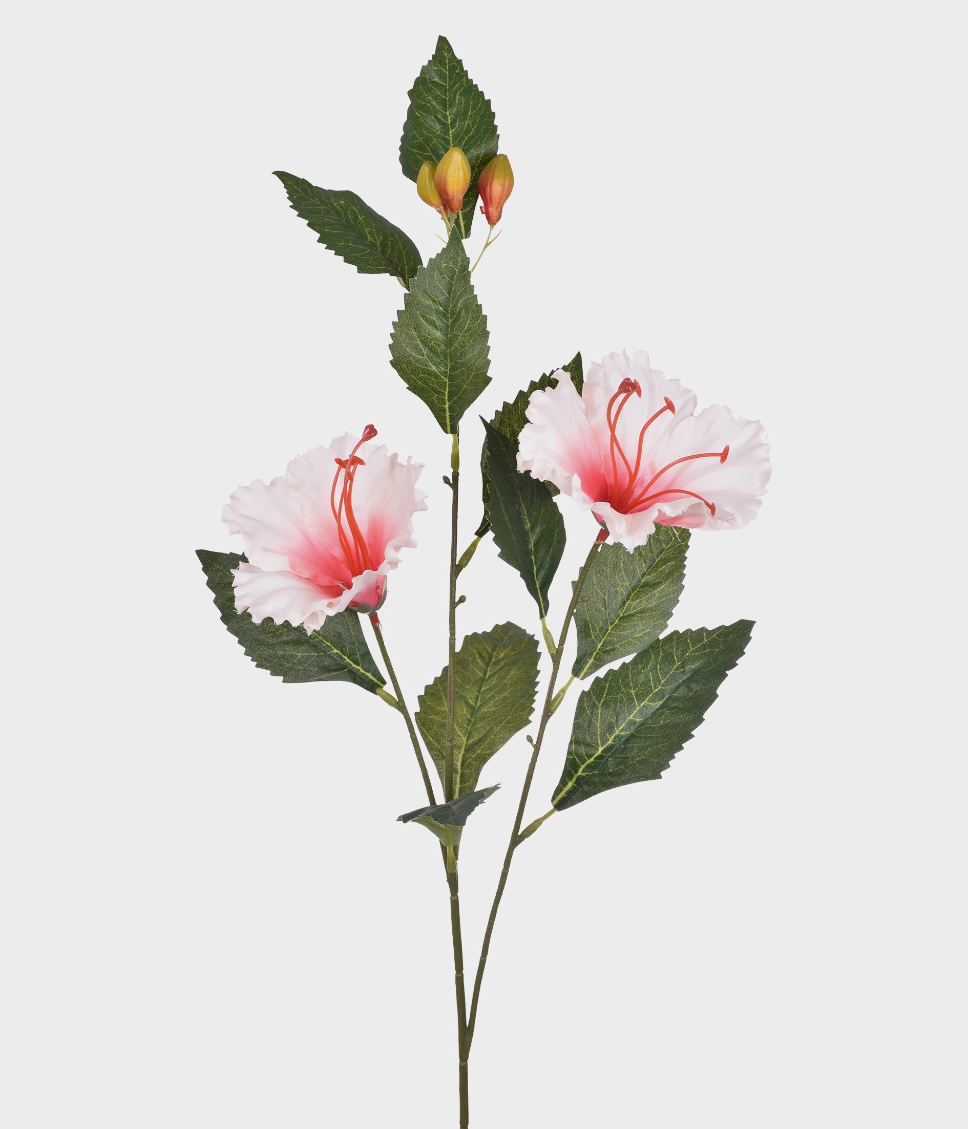 Haste Hibisco X2 Rosa 51700 018 Grillo