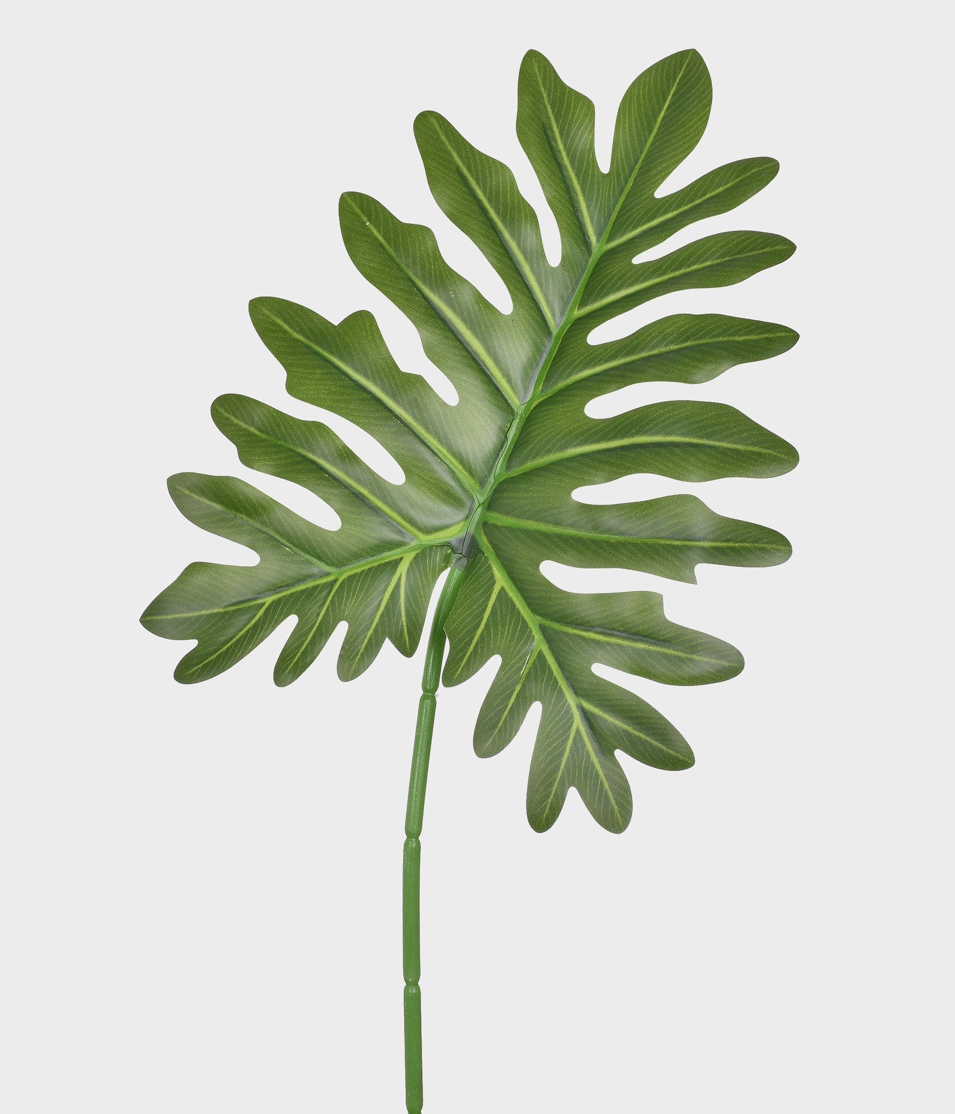 Haste Folha Philo Verde 51760 004 Grillo