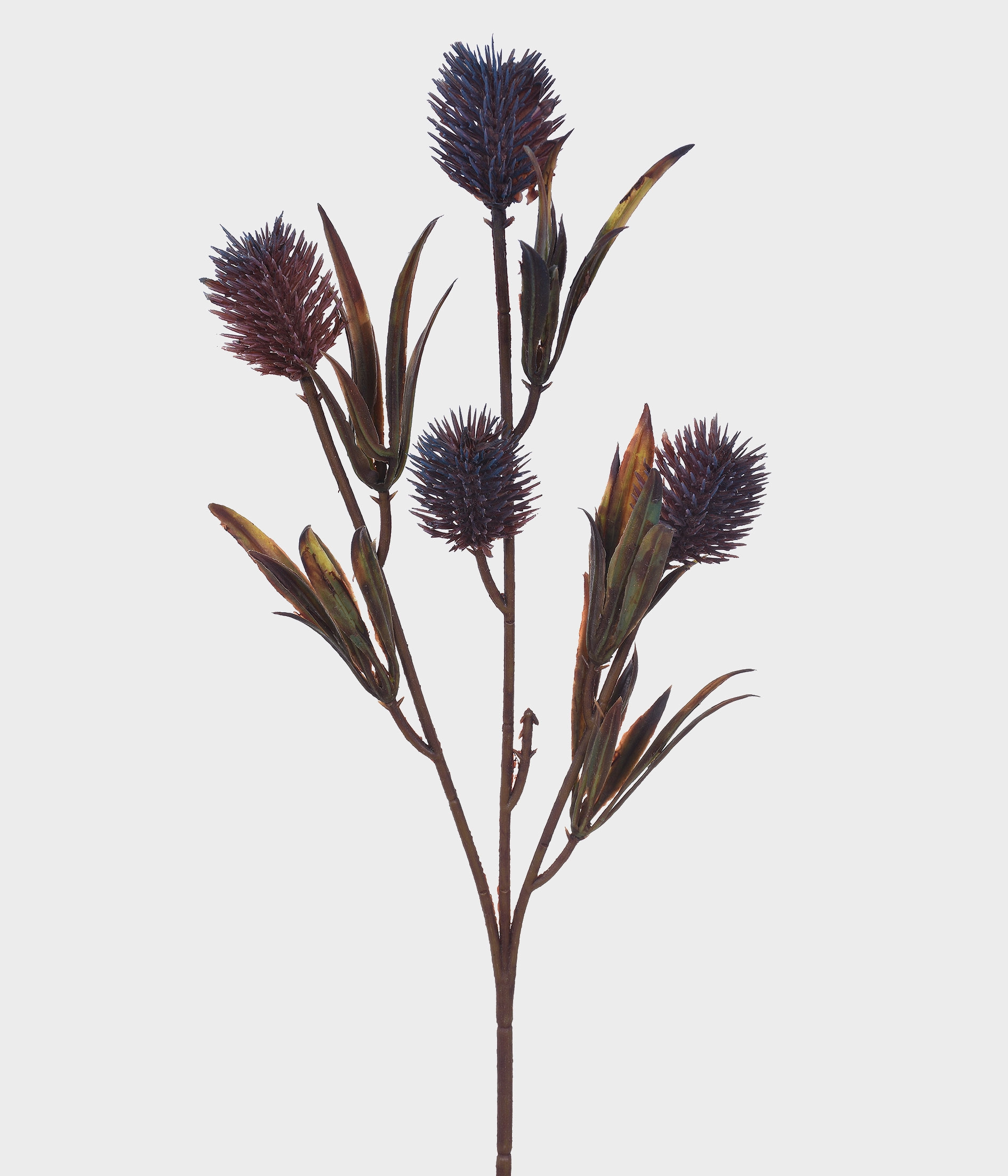 Haste Cardo Silvestre Lavanda X3 51765 031 Grillo