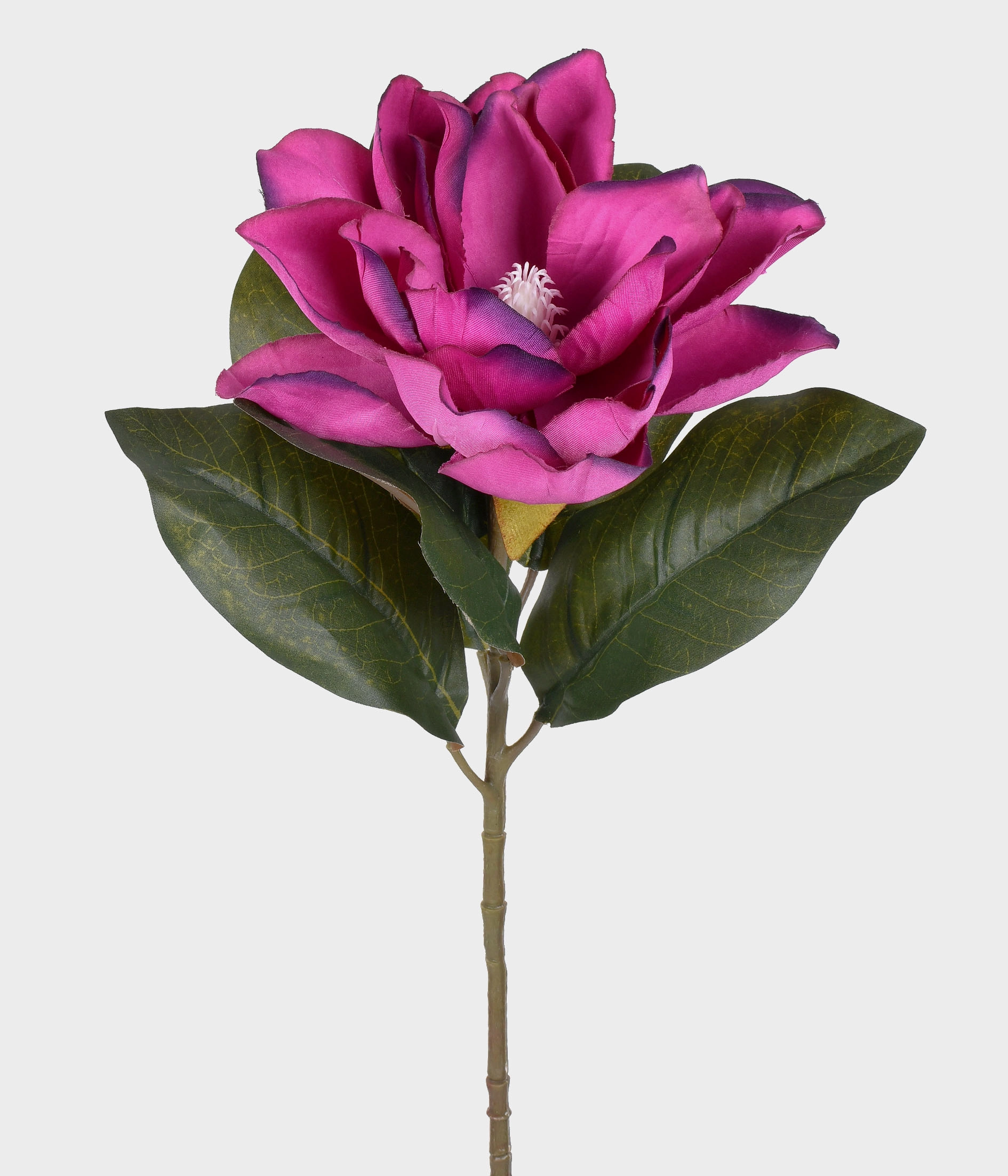 Ht Magnolia 51.870 479 Grillo