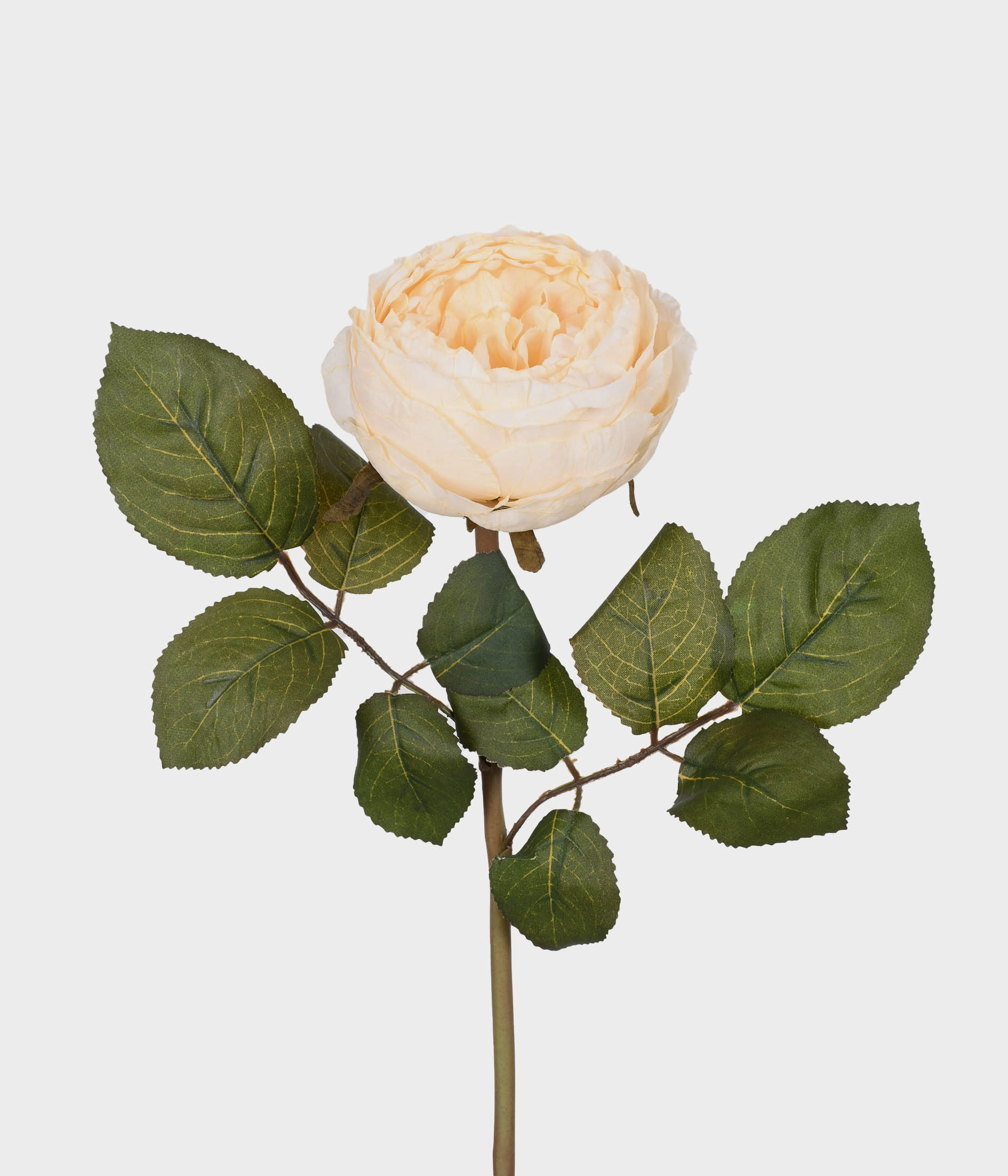 Haste Rosa Outonada Bege 51878 040 Grillo