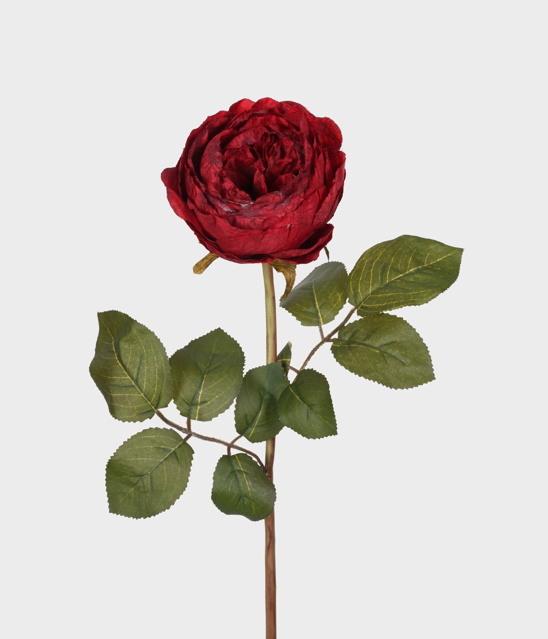 Haste Rosa Outonada Vermelho 51878 009 Grillo