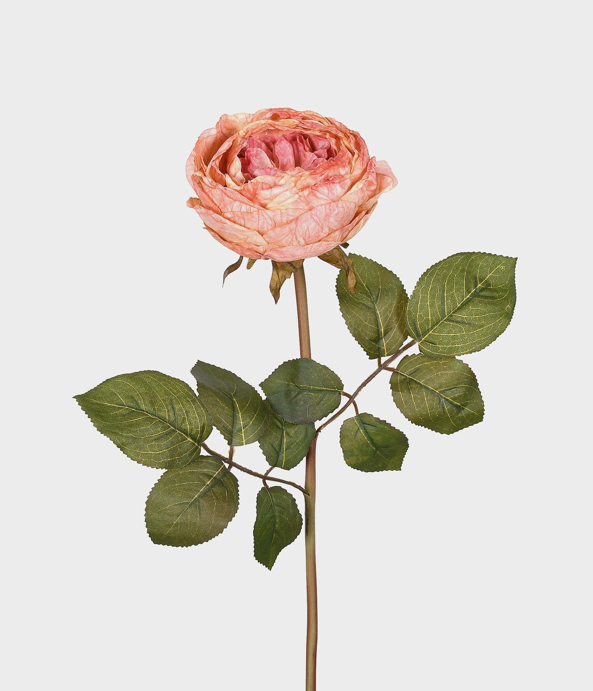 Ht Rosa Outonada 51878 539 Grillo