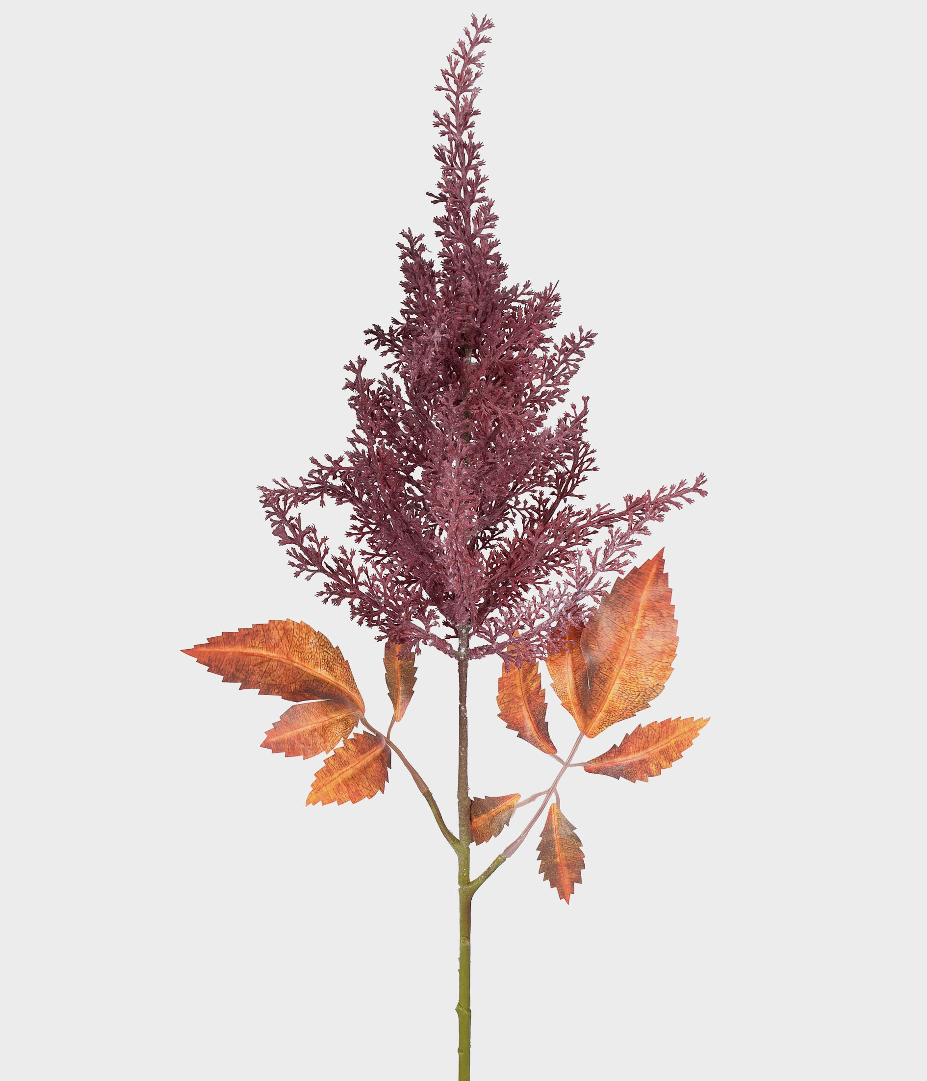 Haste Astilbe Outonada Vermelho Outono 51891 244 Grillo