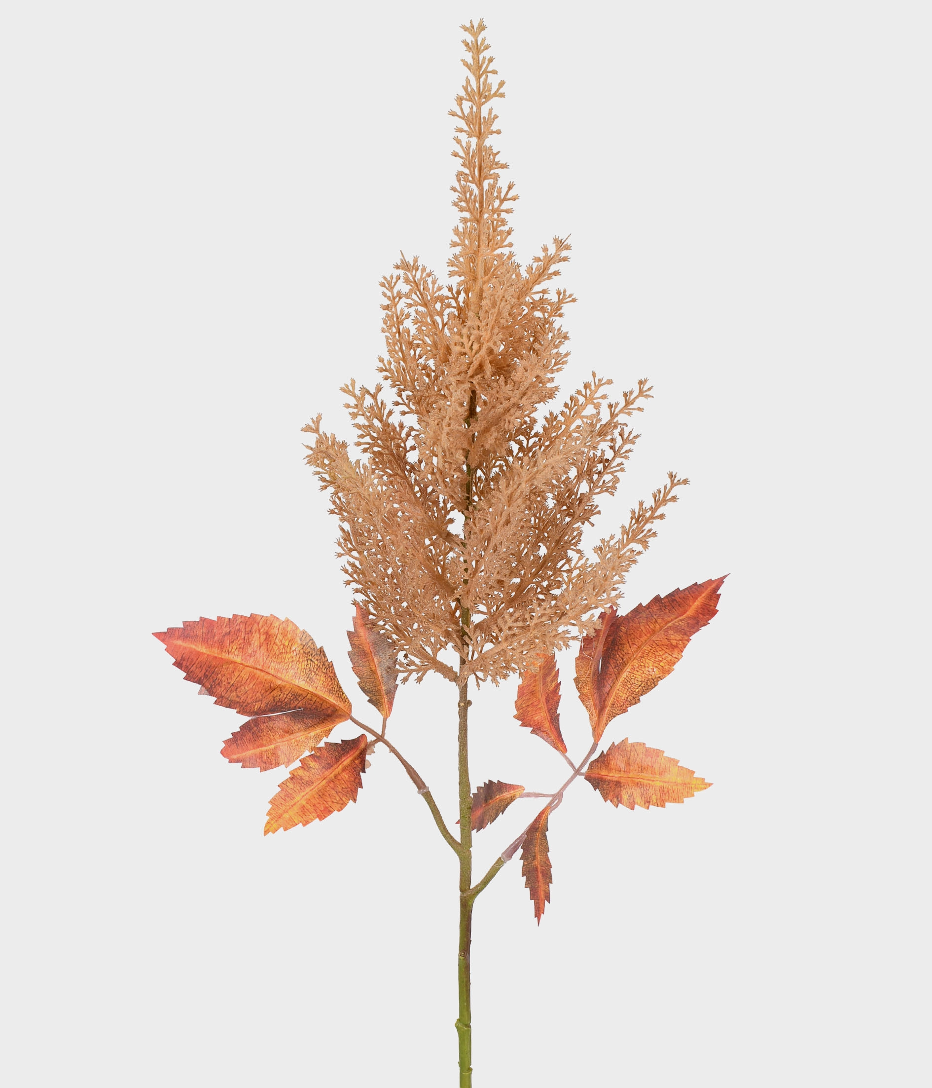 Haste Astilbe Outonada Amarelo Outono 51891 235 Grillo