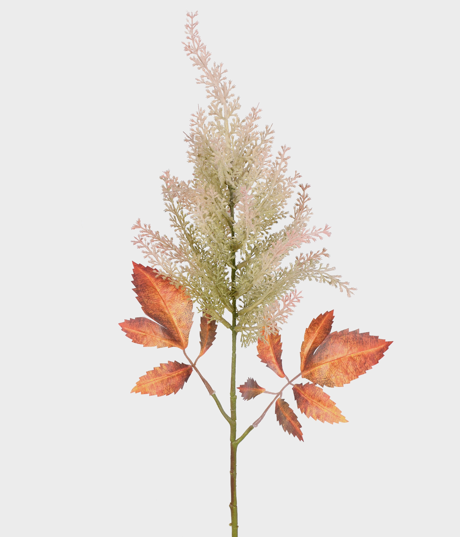 Haste Astilbe Outonada Verde Outono 51891 243 Grillo