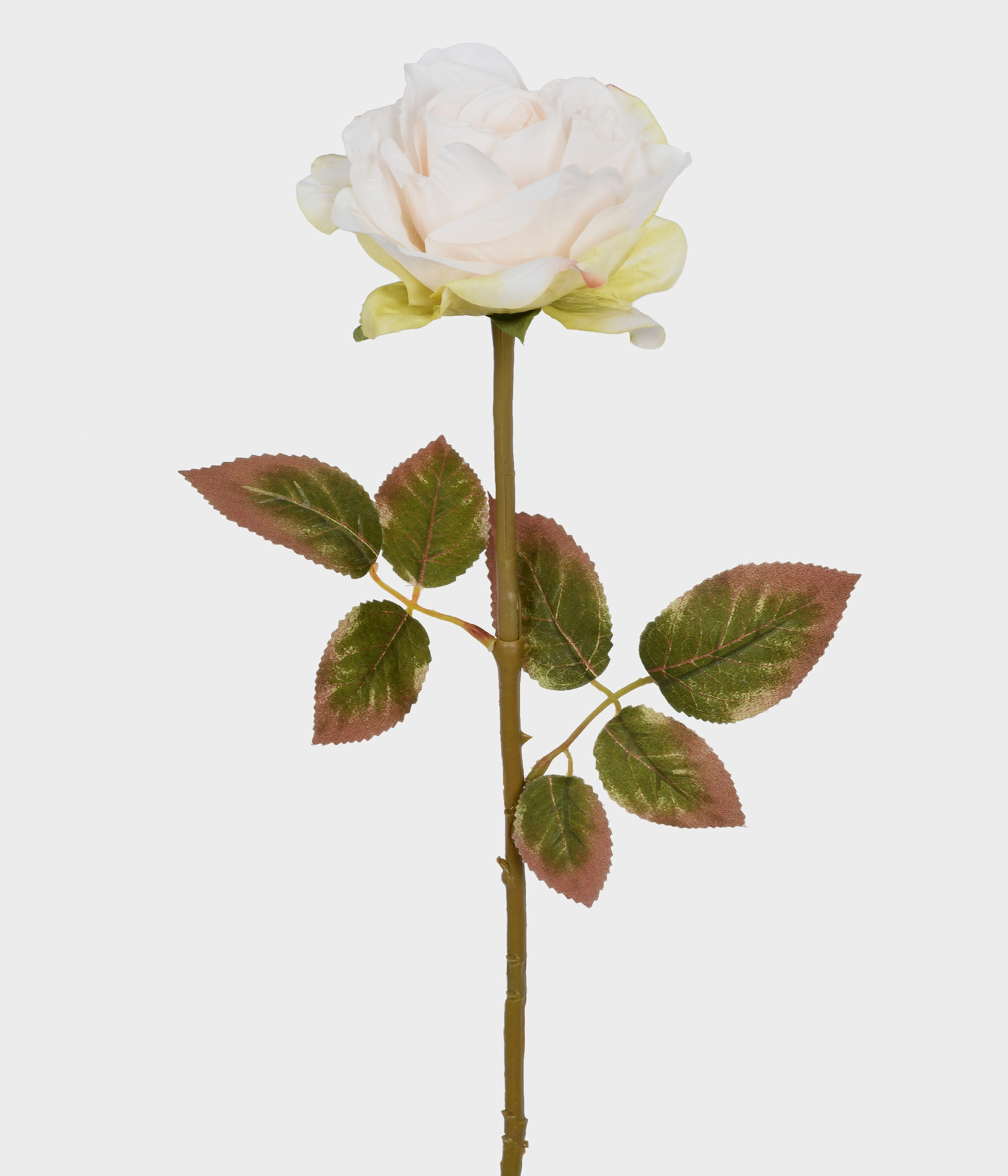 Haste Rosa Outonada Bege 51897 040 Grillo