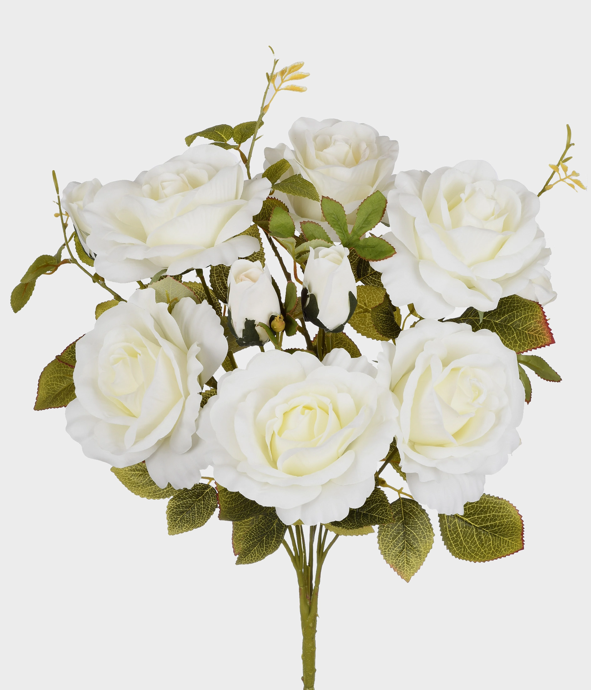 Buque Rosa X10 51909 010 Grillo