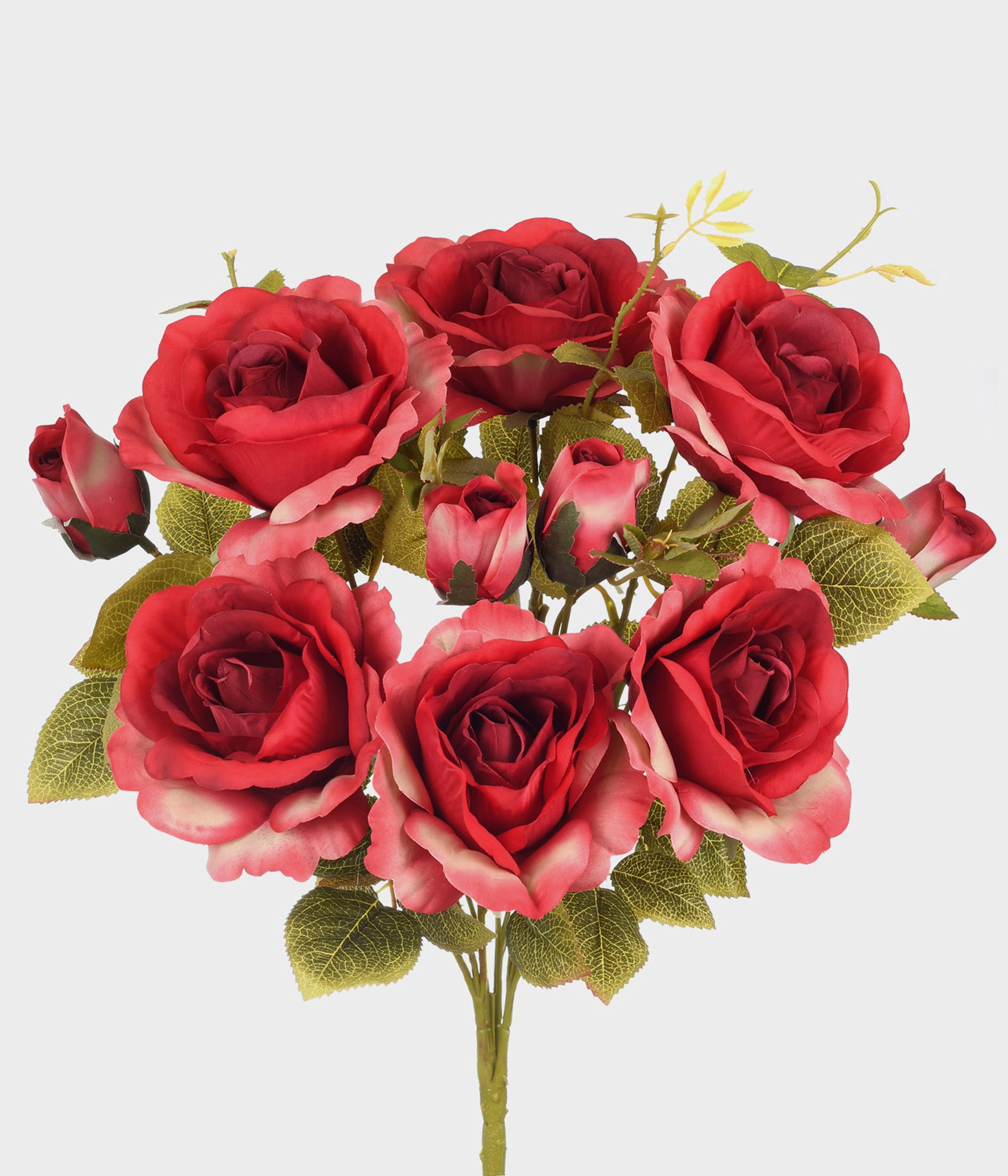 Buque Rosa X10 51909 009 Grillo
