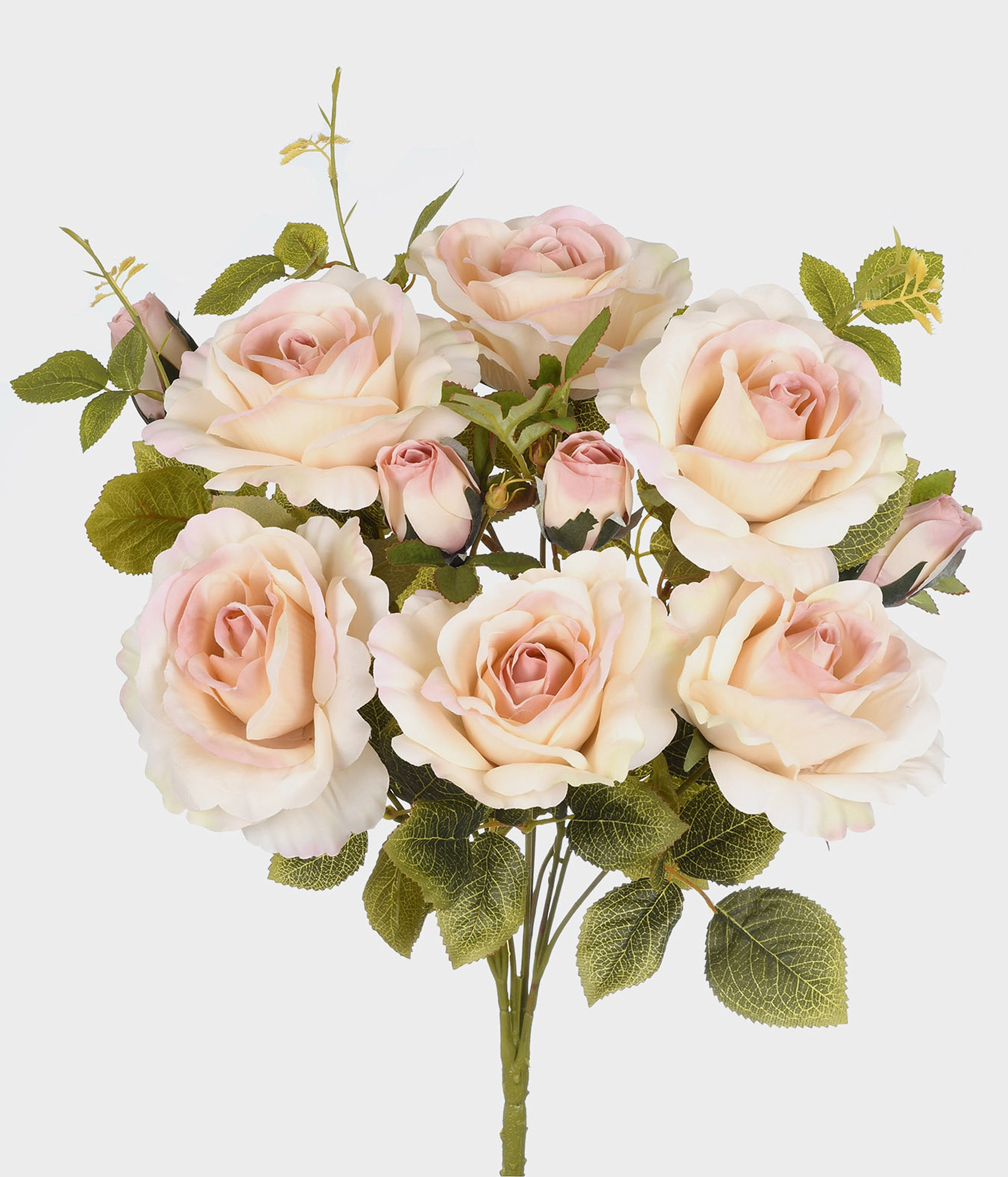 Bq Rosa X10 51909 480 Grillo