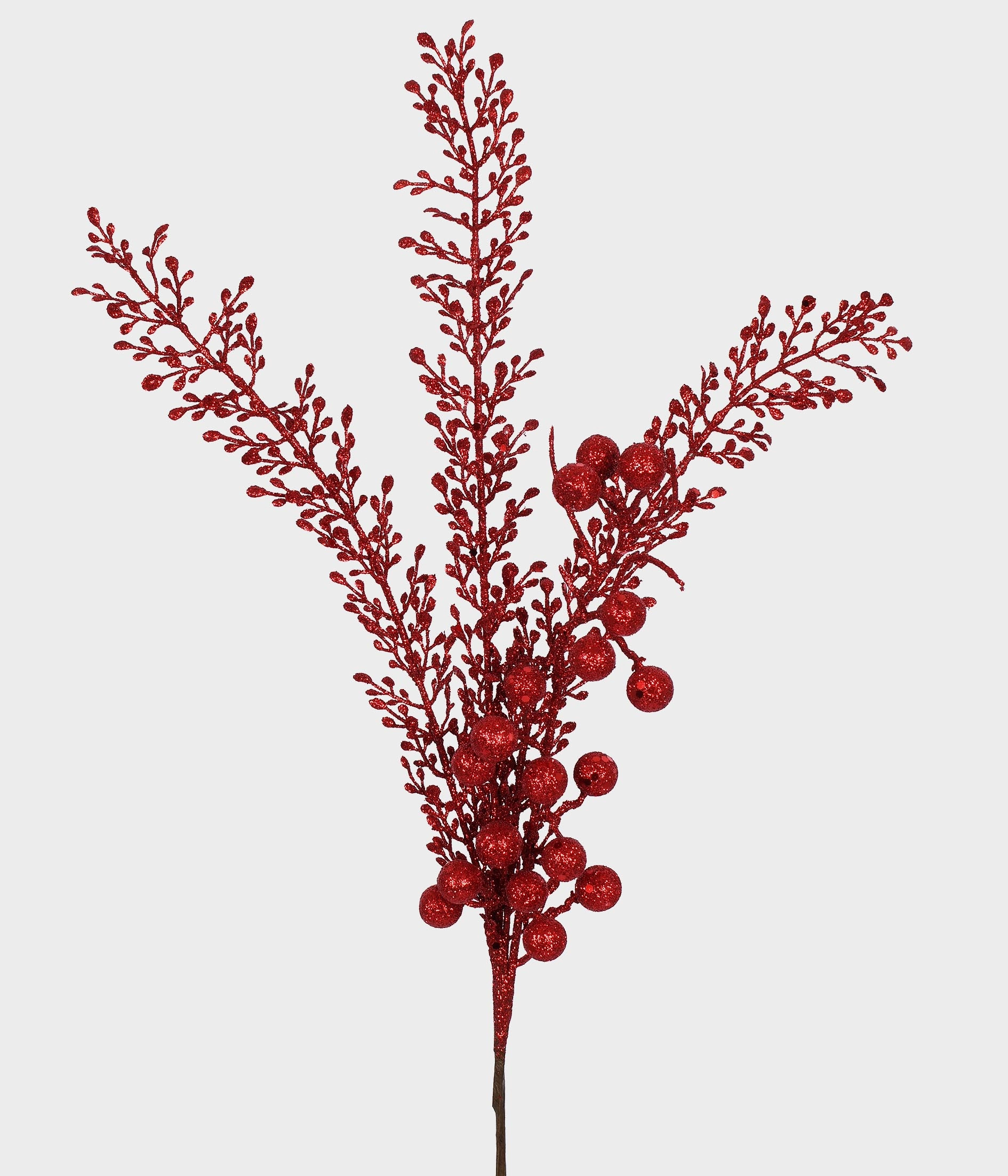 Haste Folhas Berries 52169 009 Grillo
