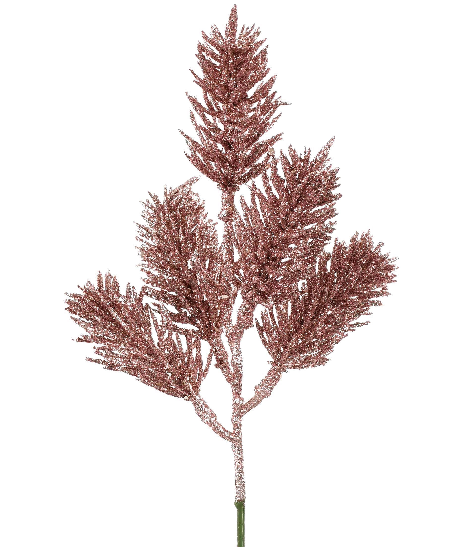Pick Pinho Rose X5 52227 562 Grillo