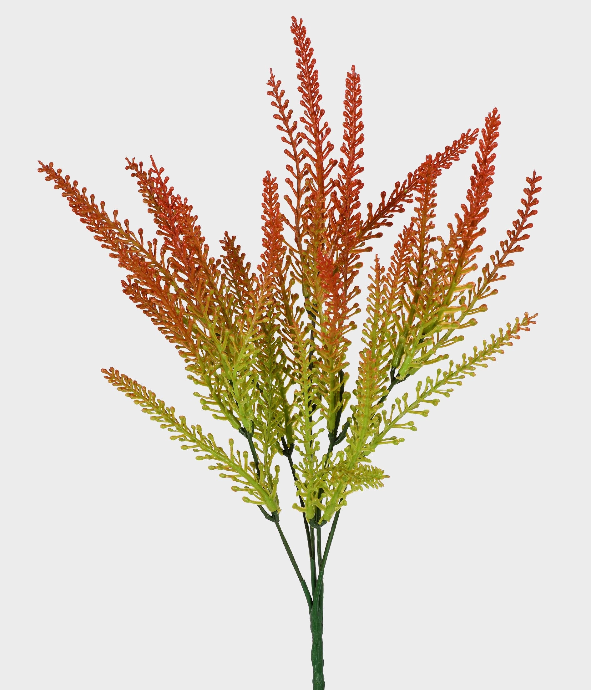 Boque Cattail Verde Outono X35 52705 243 Grillo