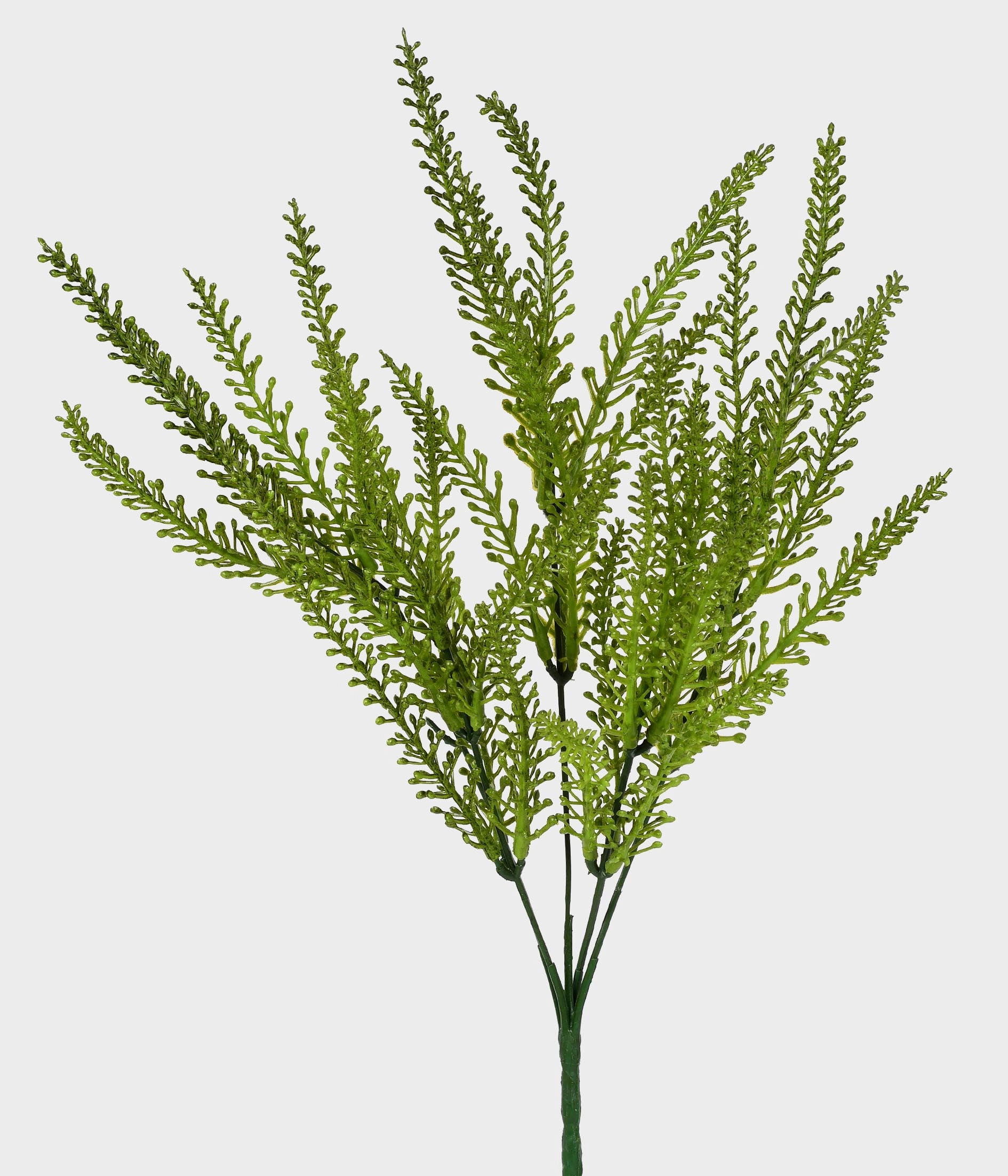 Buque Cattail Verde X35 52705 004 Grillo