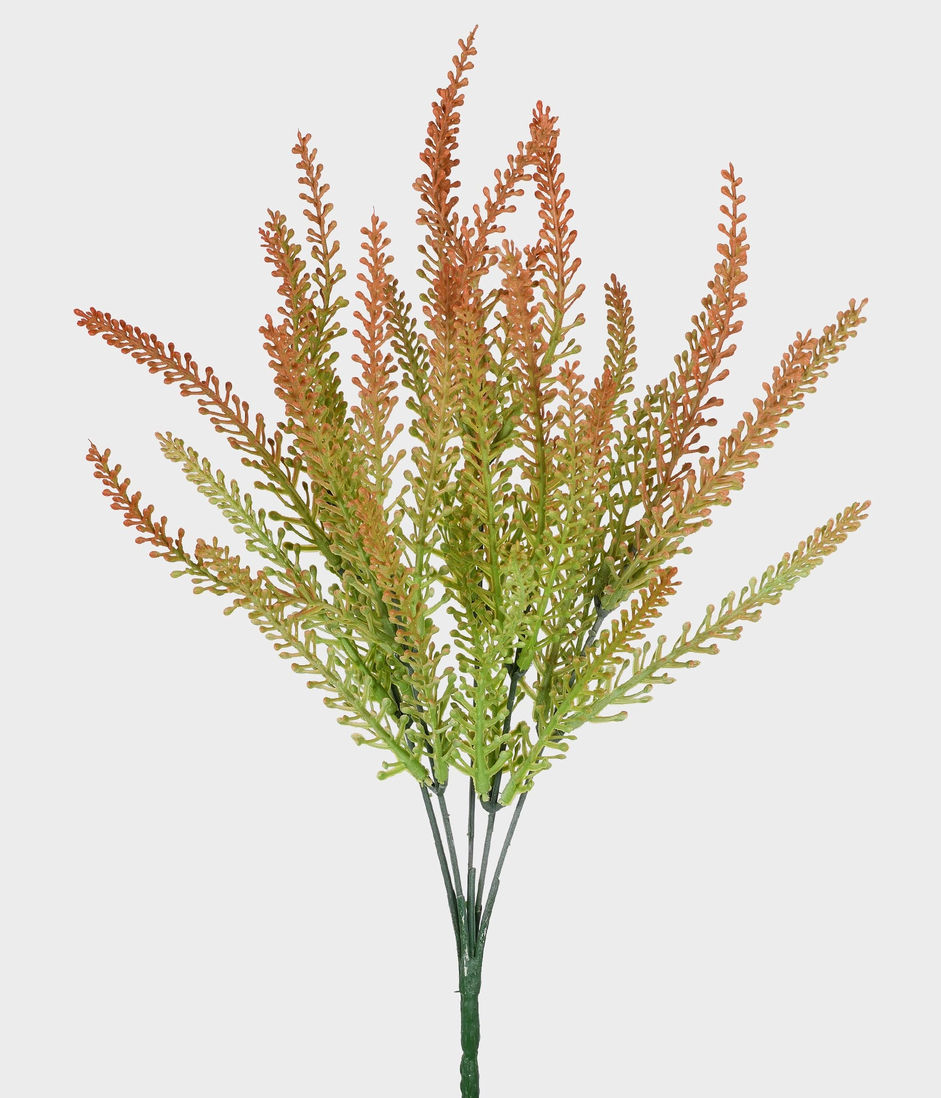 Buque Cattail Verde Rosa X35 52705 219 Grillo