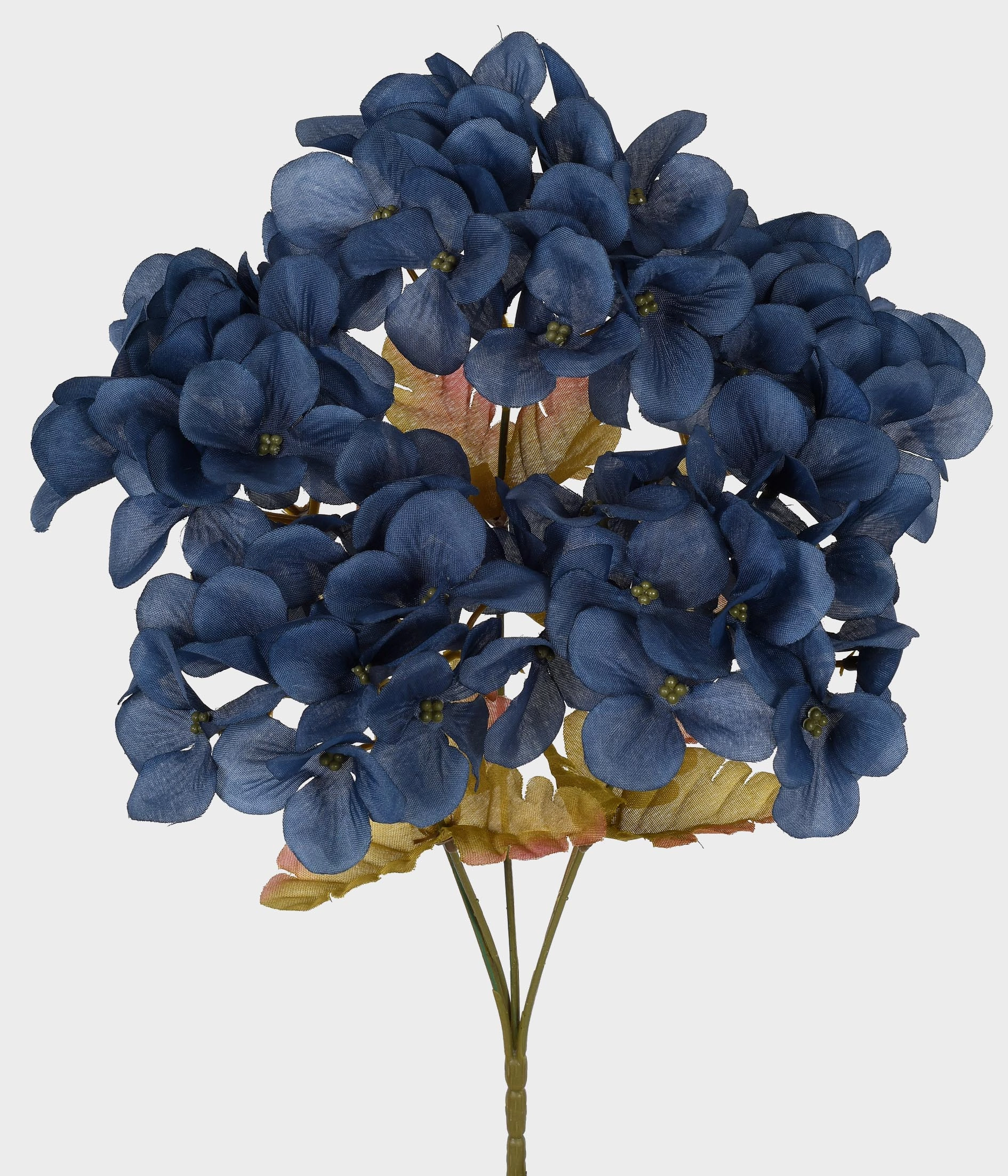 Buque Hortensia Azul Outono X5 52745 222 Grillo