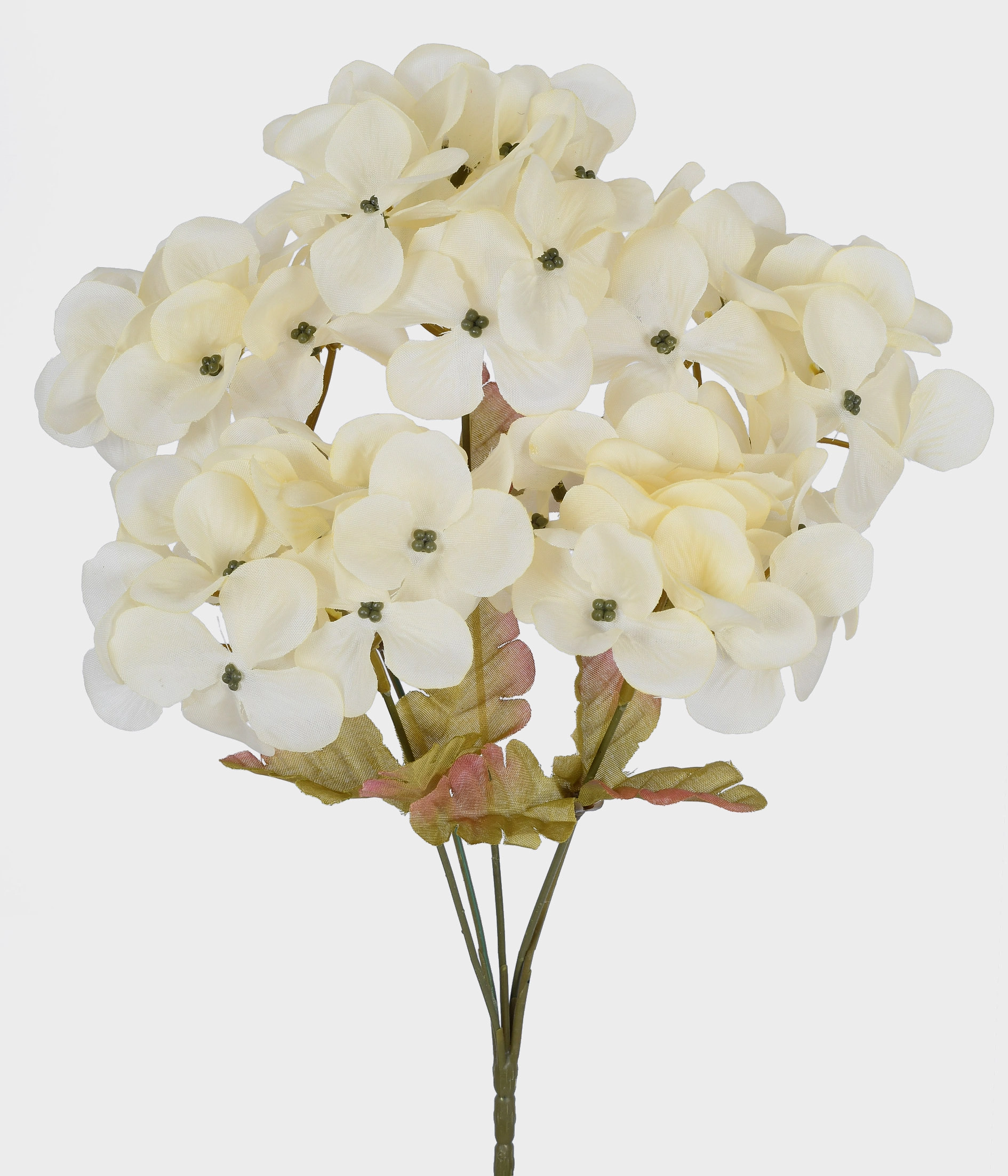 Buque Hortensia Bege X5 52745 040 Grillo