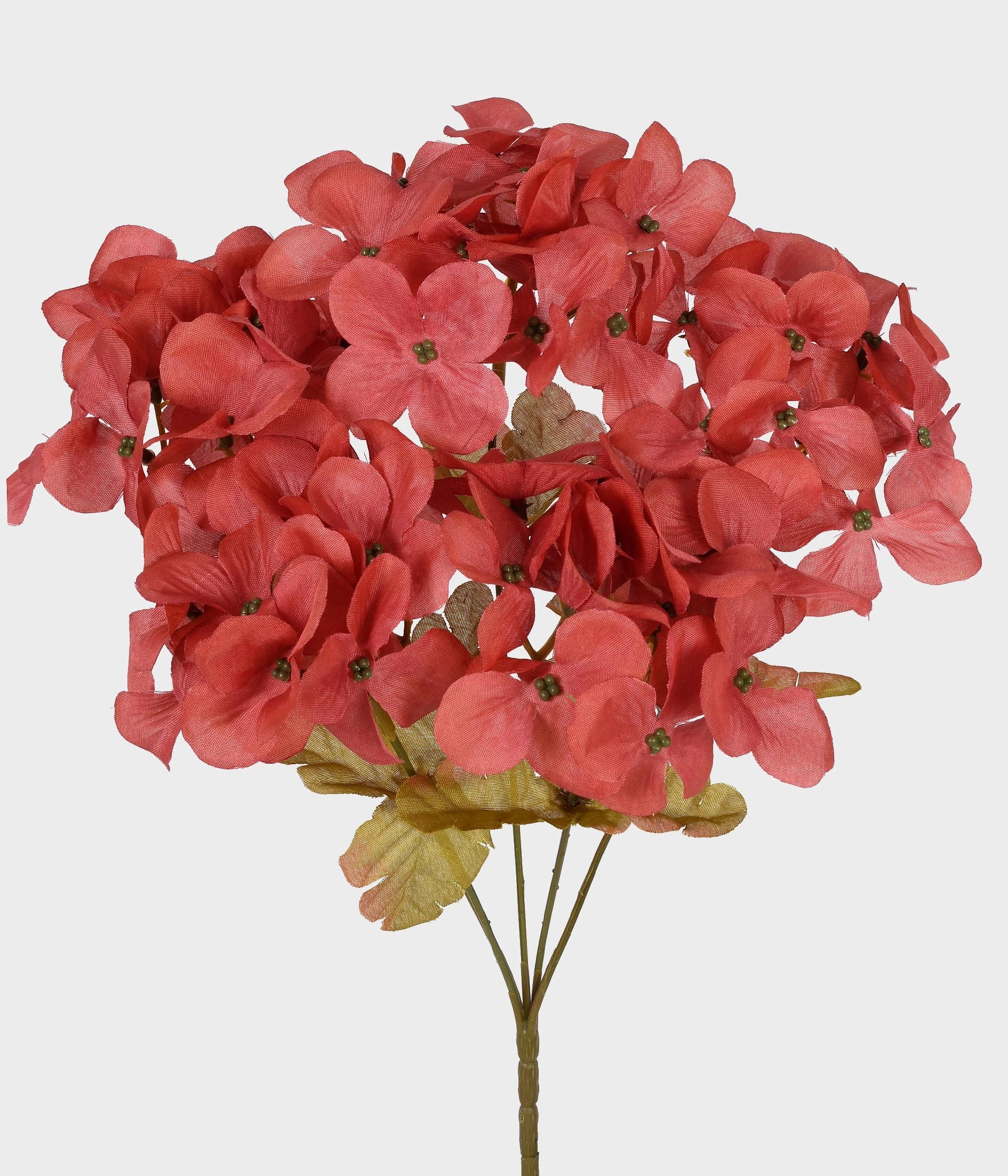 Buque Hortensia Rosa Outono X5 52745 241 Grillo