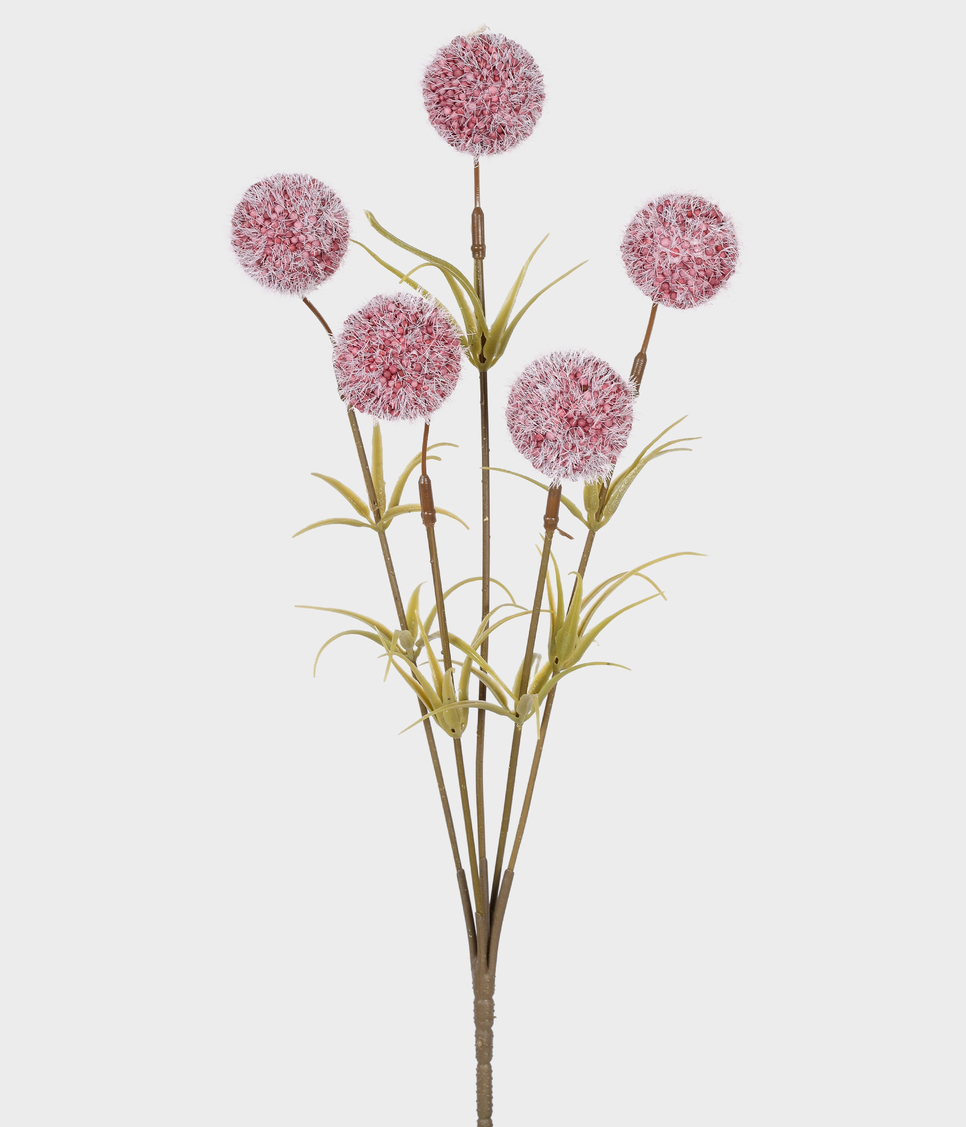 Buque Alium Flocado Burgundy X5 52748 115 Grillo