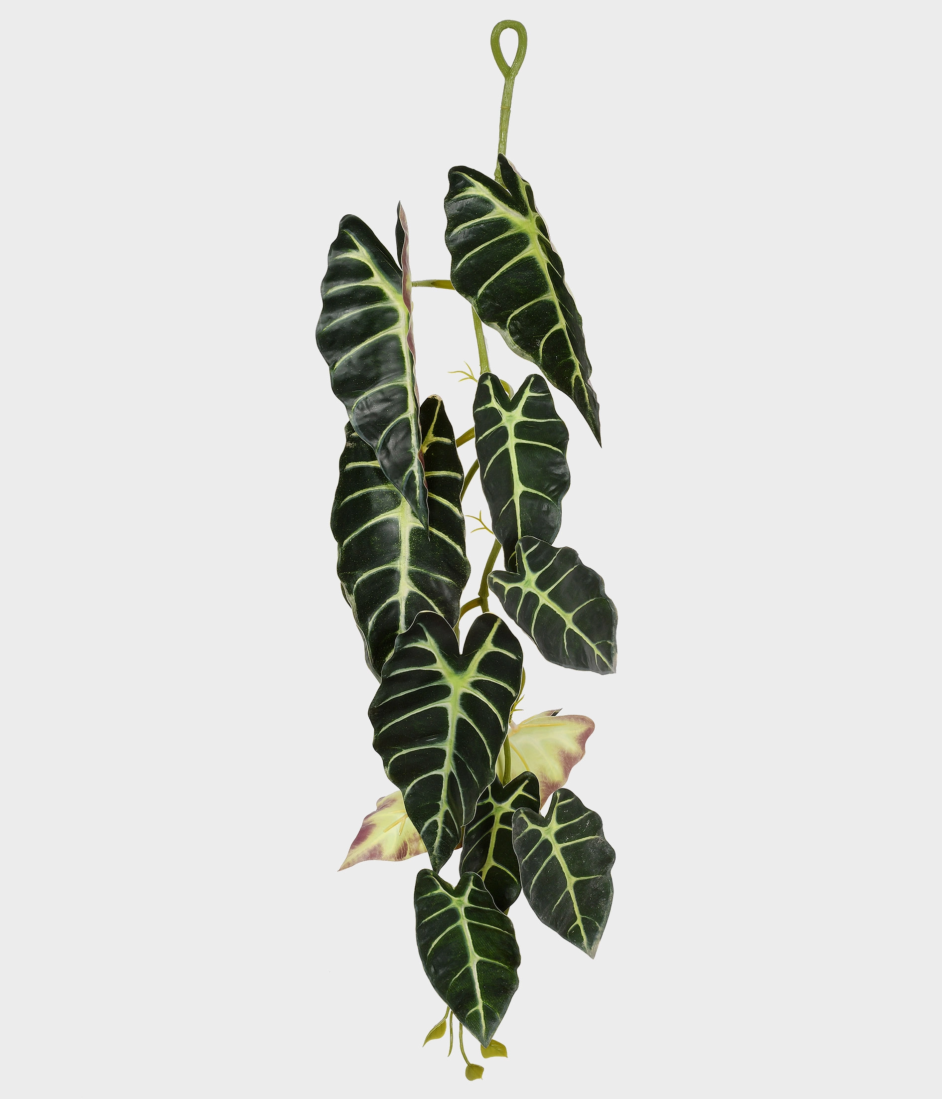 Pendente Caladium X11 Real Toque Verde 52767 004 Grillo
