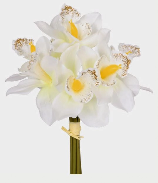 Ramalhete Cymbidium X7 Creme Rosa