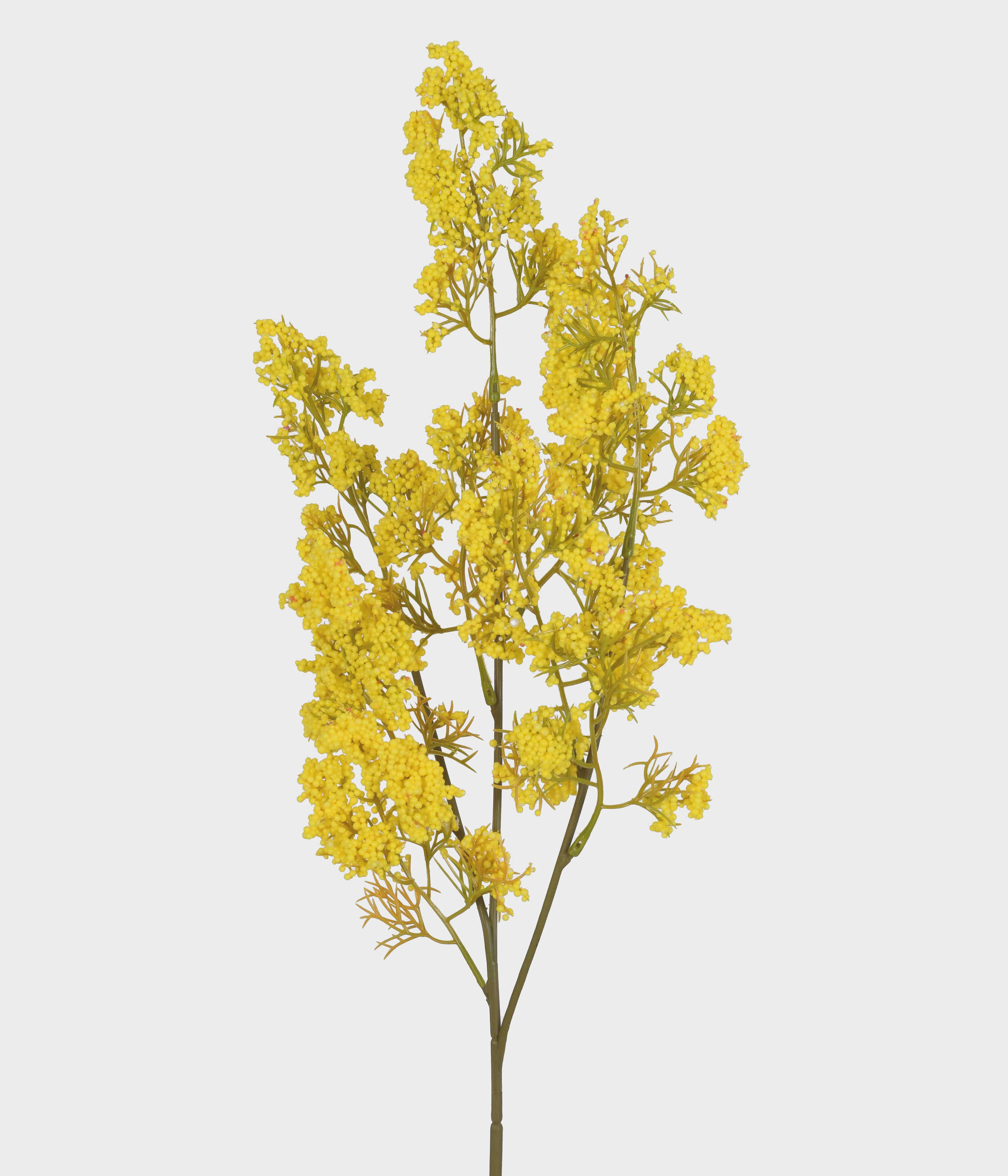 Haste Gypso Amarelo Outono X3 52934 235 Grillo