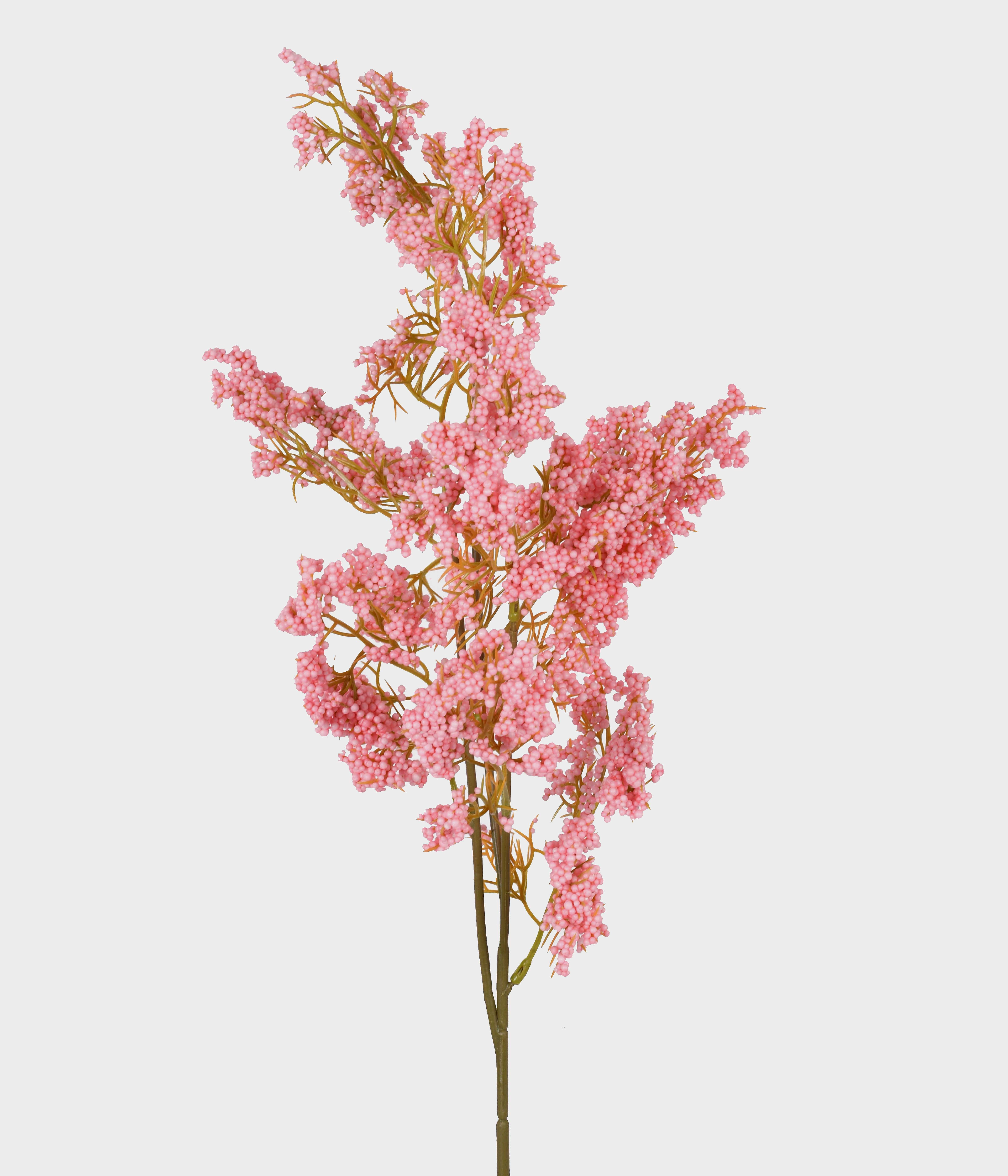 Haste Gypso Rosa Outono X3 52934 241 Grillo