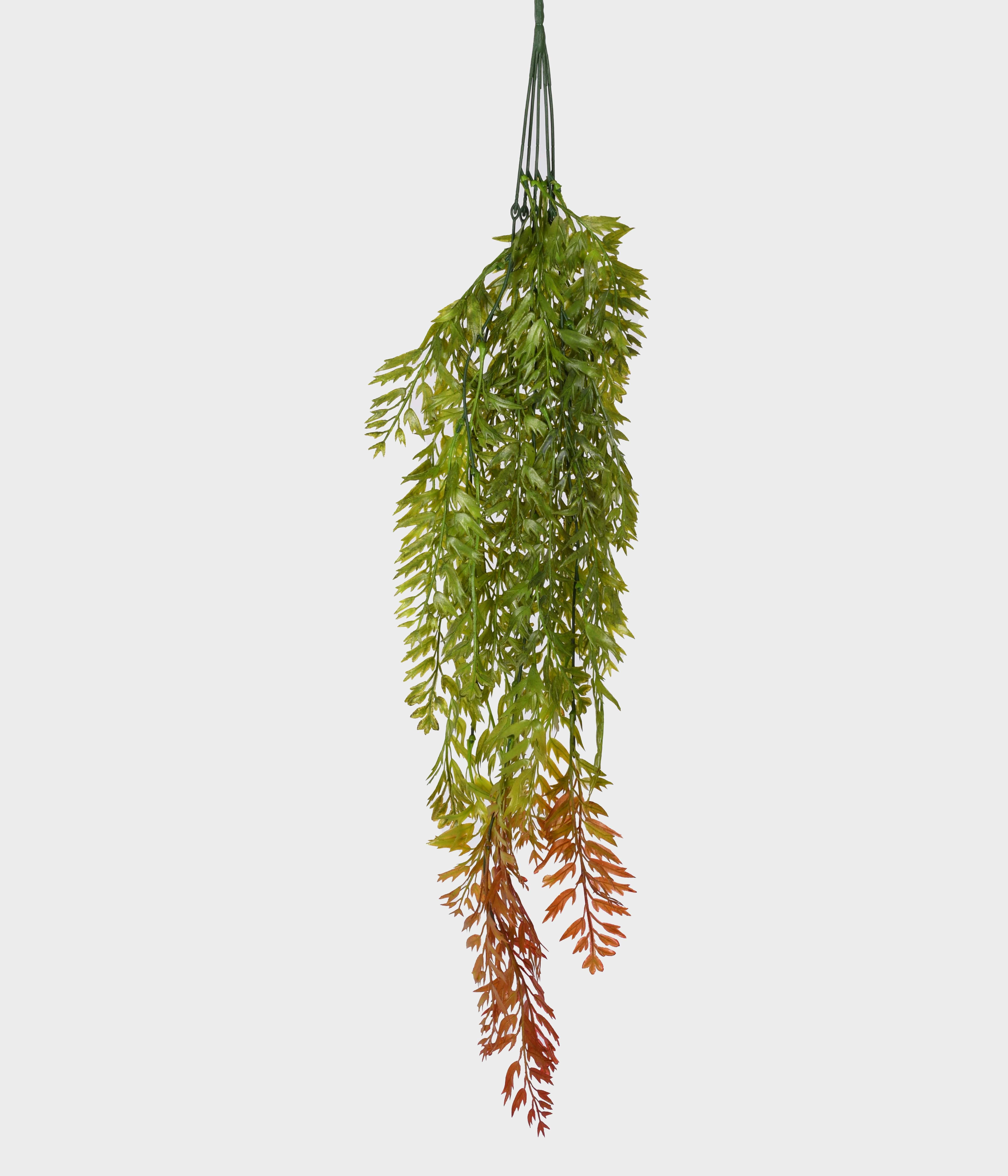 Pendente De Samambaia X5 Verde Outono 52979 243 Gr