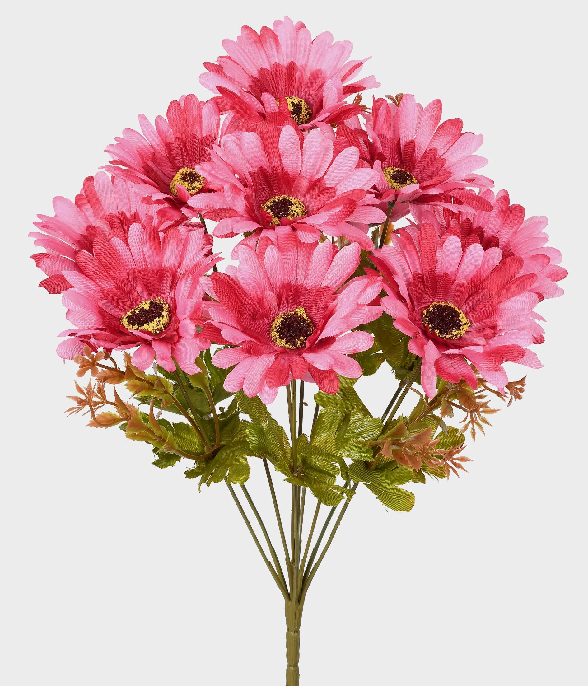 Buque Gerbera X10 53.003 031 Grillo