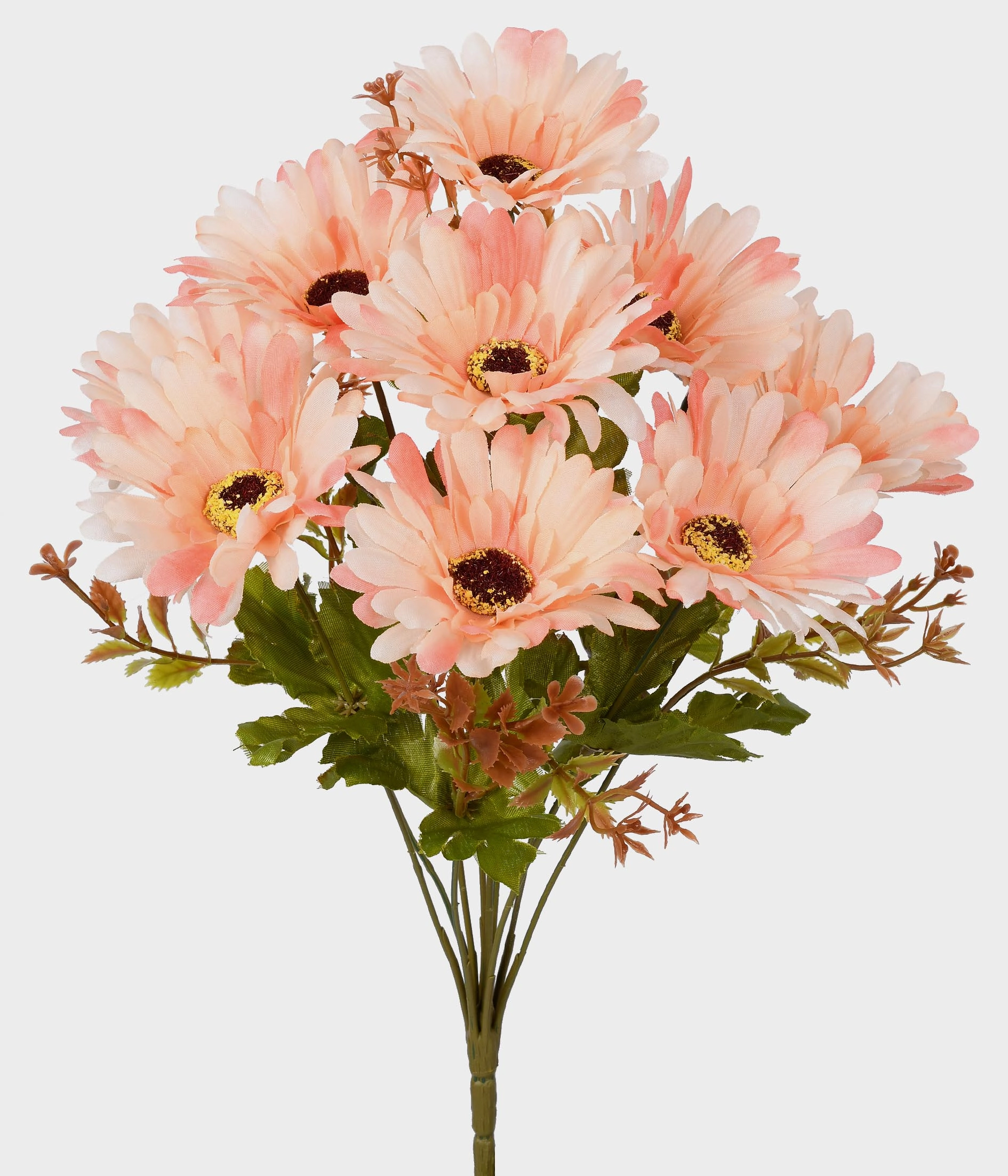 Buque Gerbera X10 53.003 011 Grillo