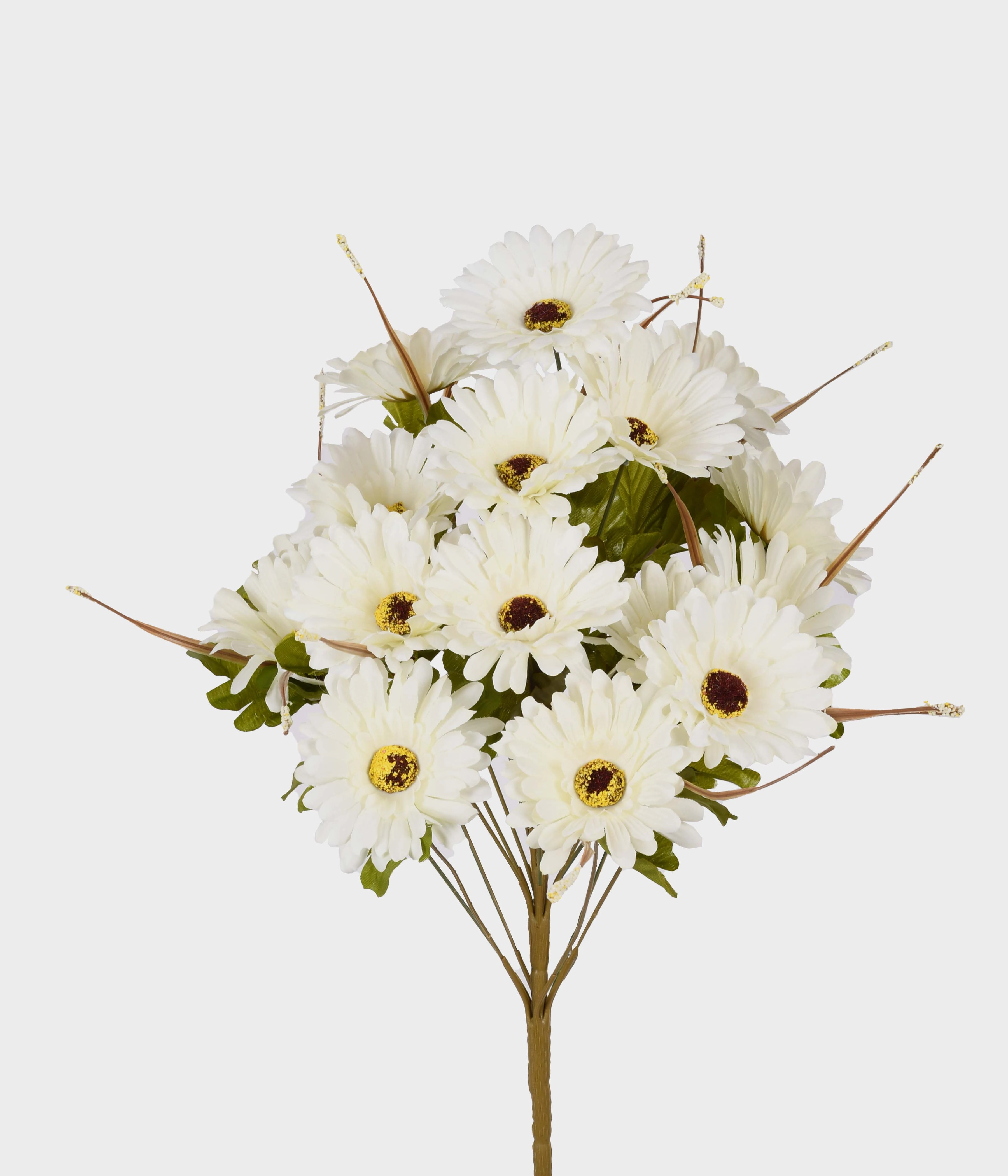 Buque Gerbera X18 Creme 53004 010 Grillo