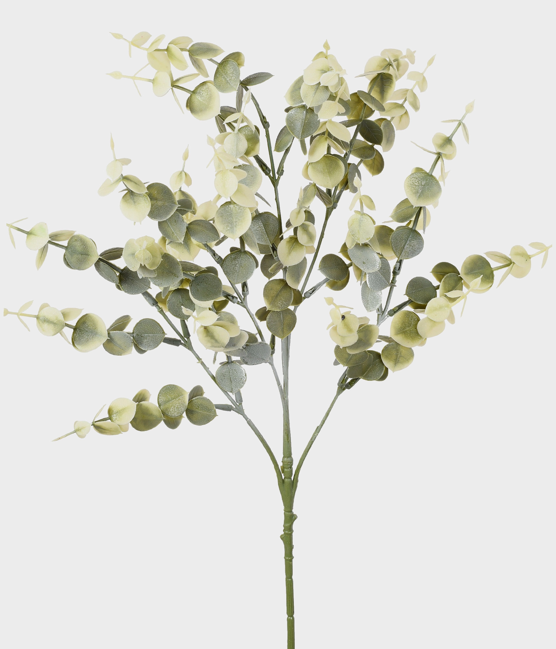 Haste Eucalipto X3 Verde Branco 53006 098 Grillo