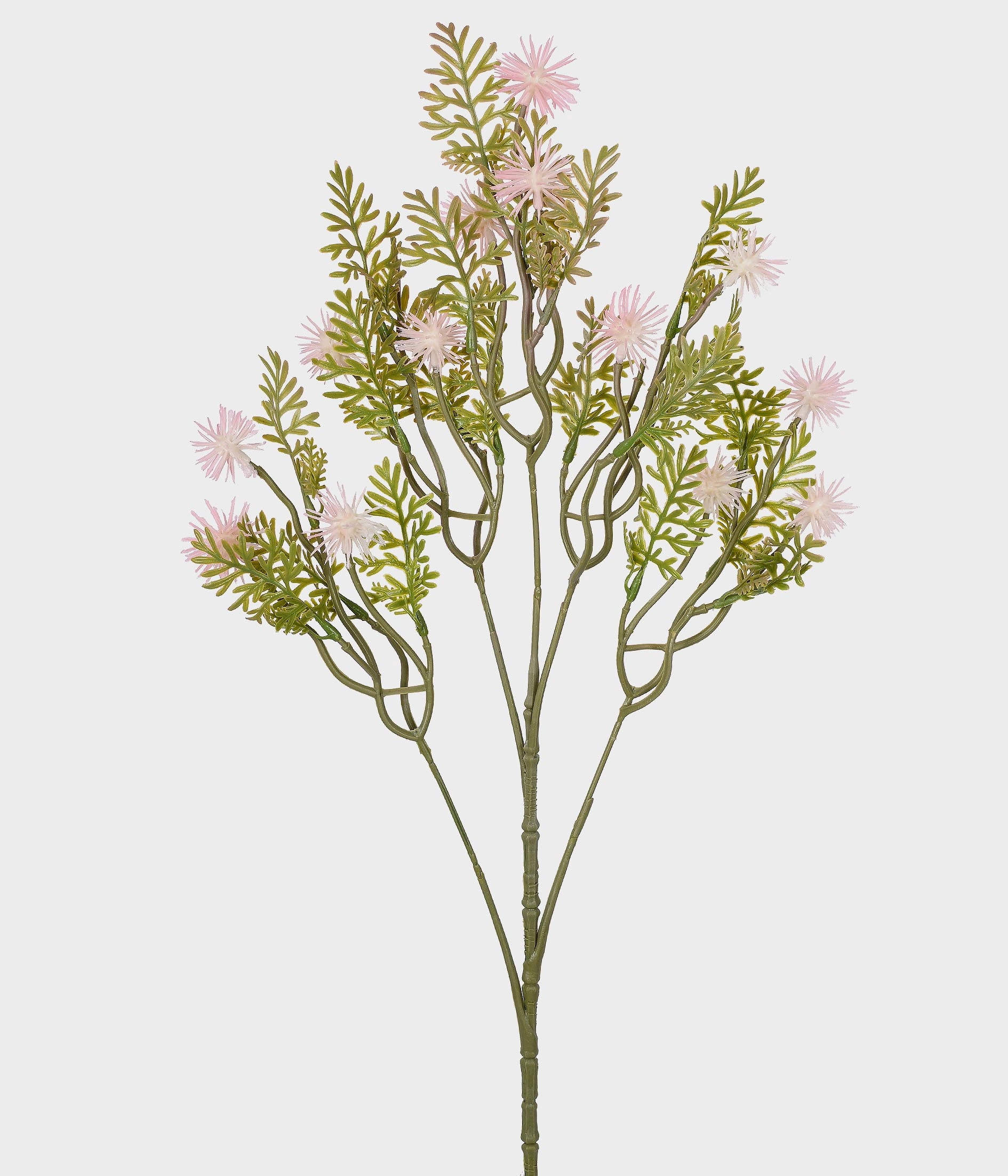 Haste Rambutao X5 Rosa 53011 018 Grillo